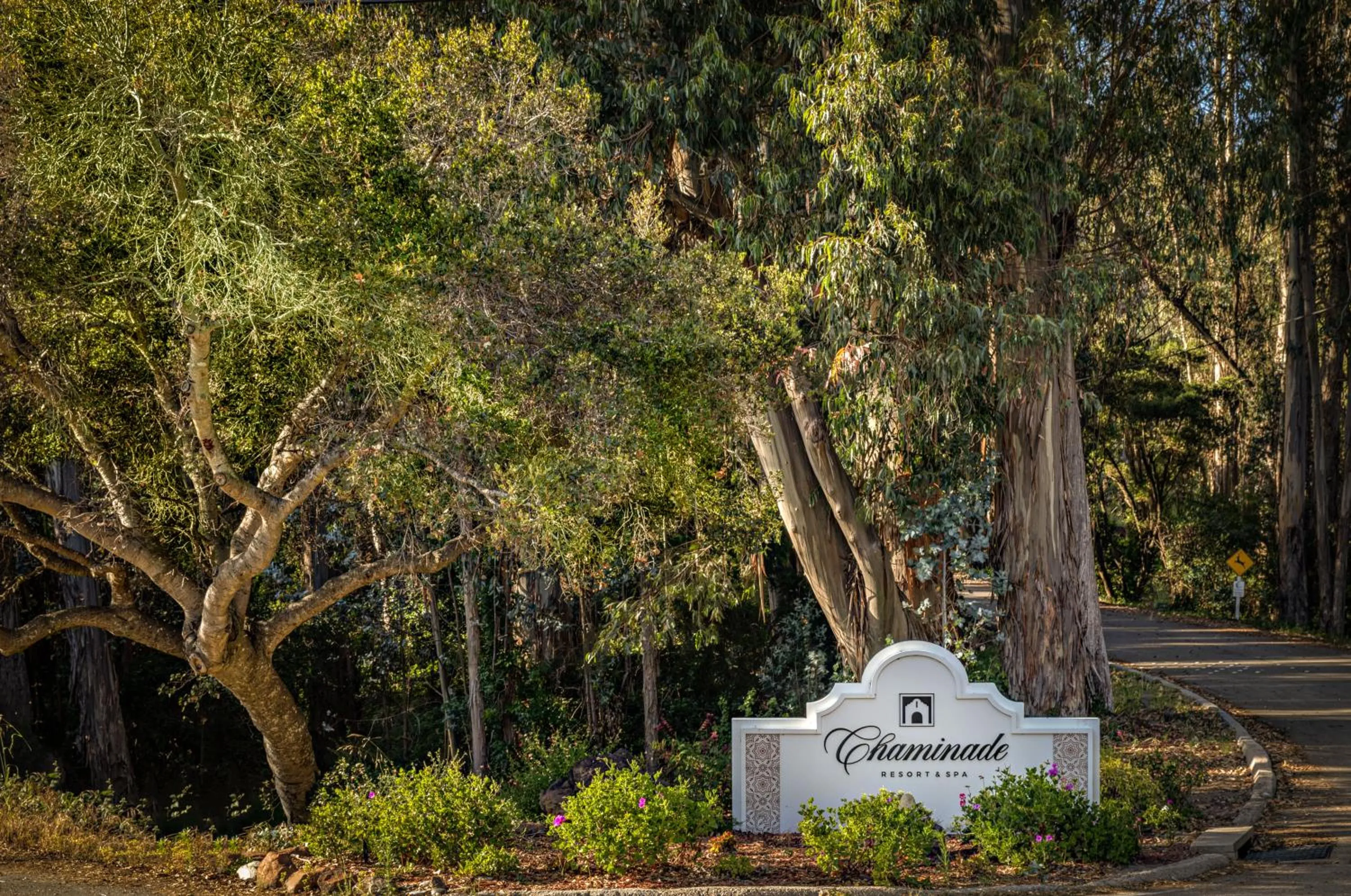 Property logo or sign in Chaminade Resort & Spa