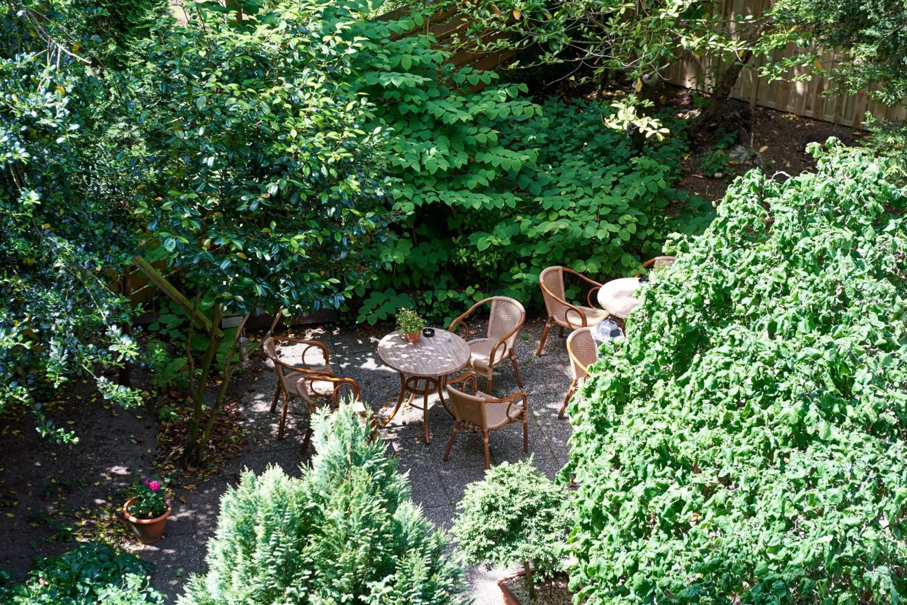 Garden in Prinsenhotel