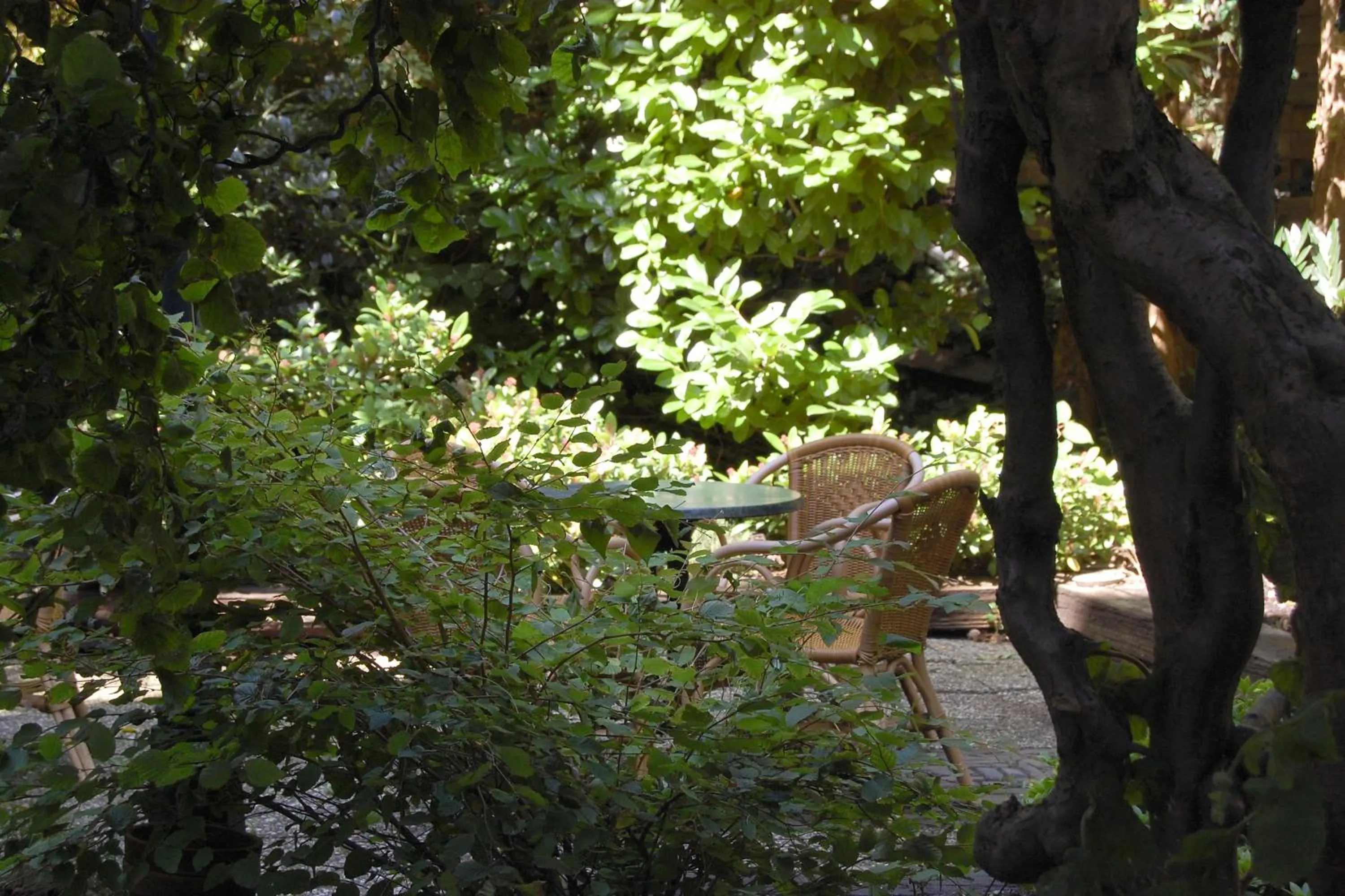 Restaurant/places to eat in Prinsenhotel