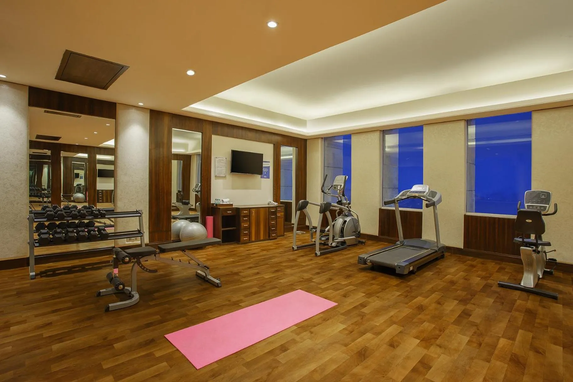 Fitness centre/facilities in Seyfert Sarovar Premiere Dehradun