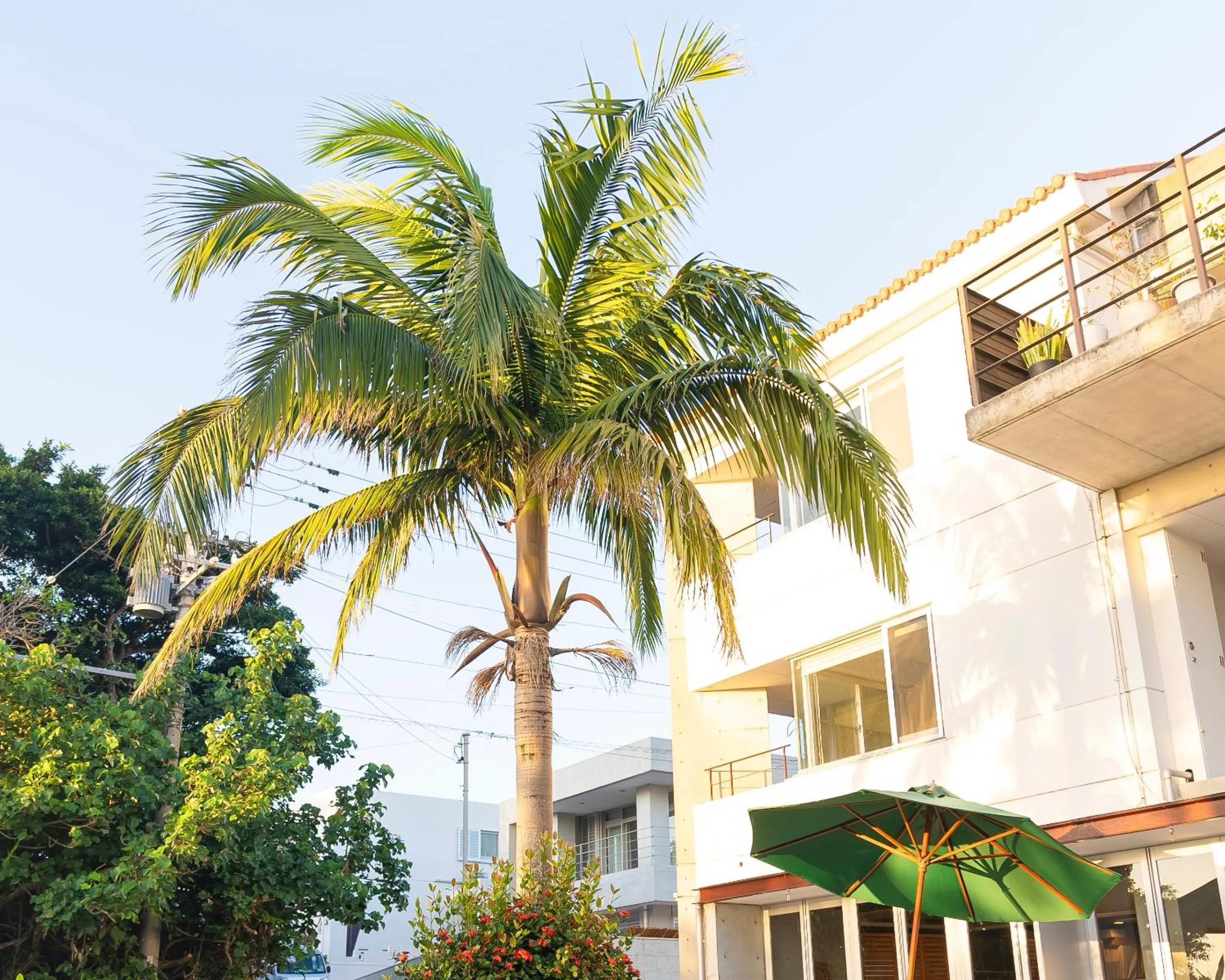 Property building in Sky Ocean - Ishigaki Eco-Resort - Newly Renovated