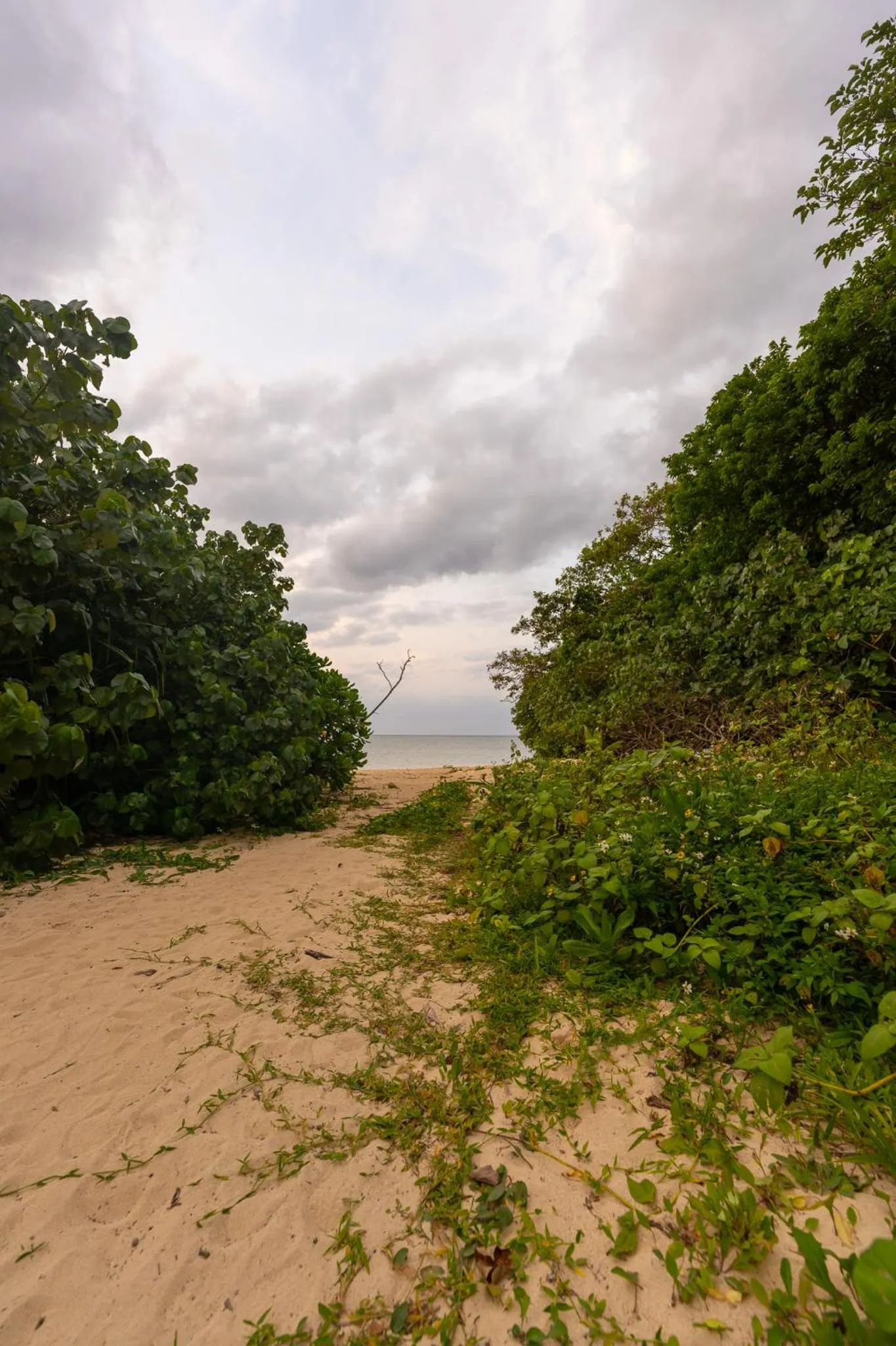 Alaise De Bale Ishigaki