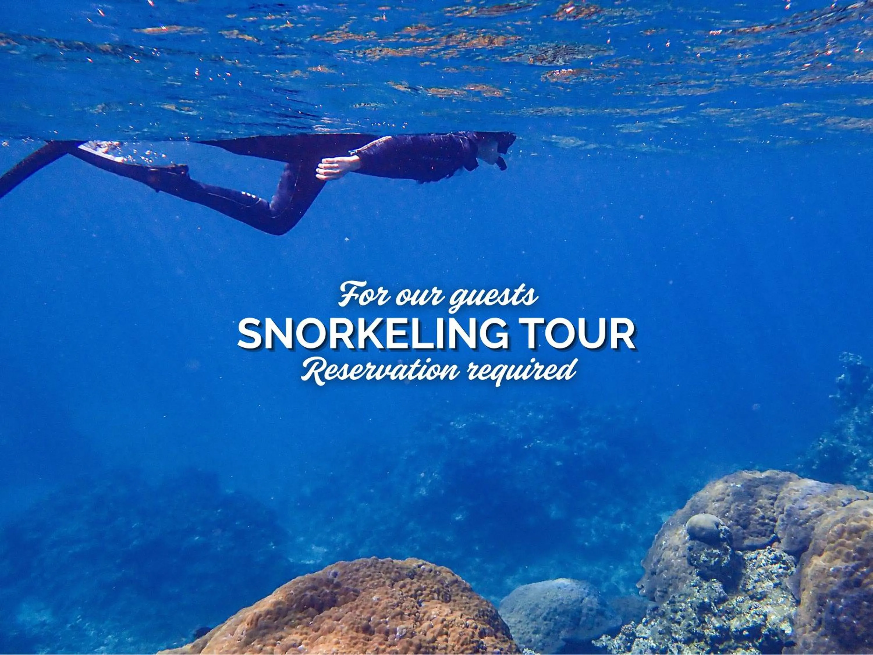 Activities in Sky Ocean - Ishigaki Eco-Resort - Newly Renovated