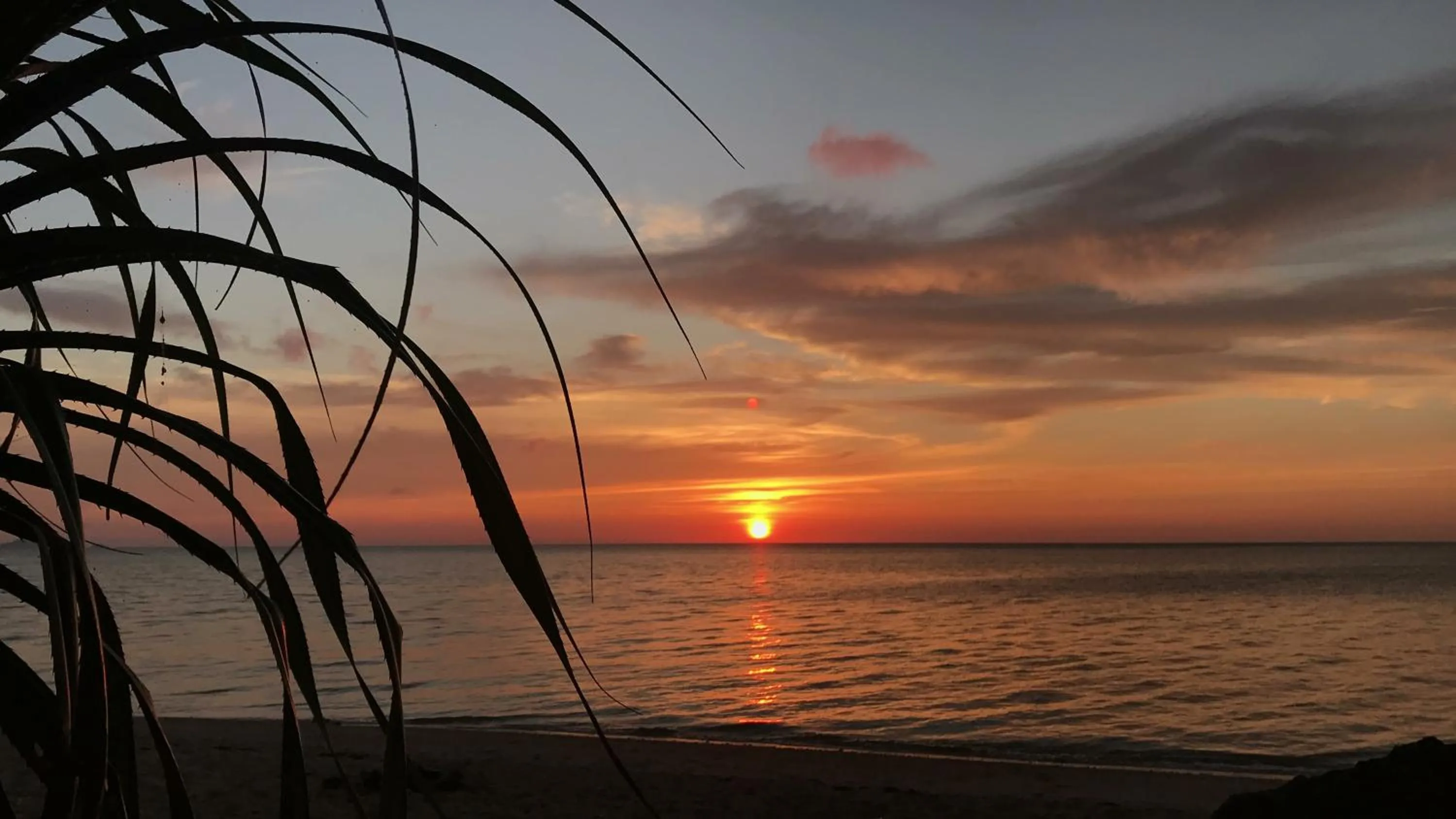 Alaise De Bale Ishigaki