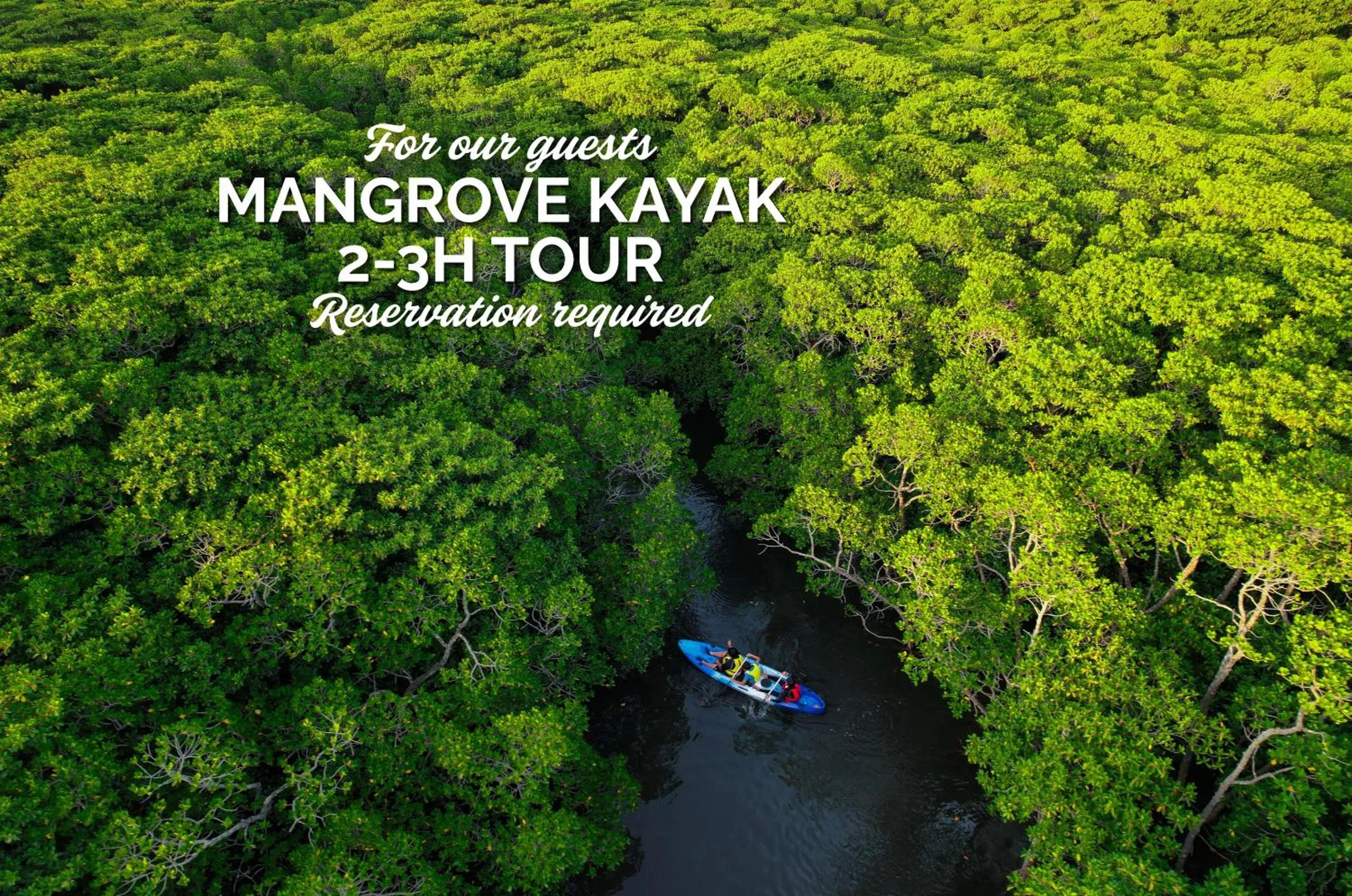 Day in Sky Ocean - Ishigaki Eco-Resort - Newly Renovated