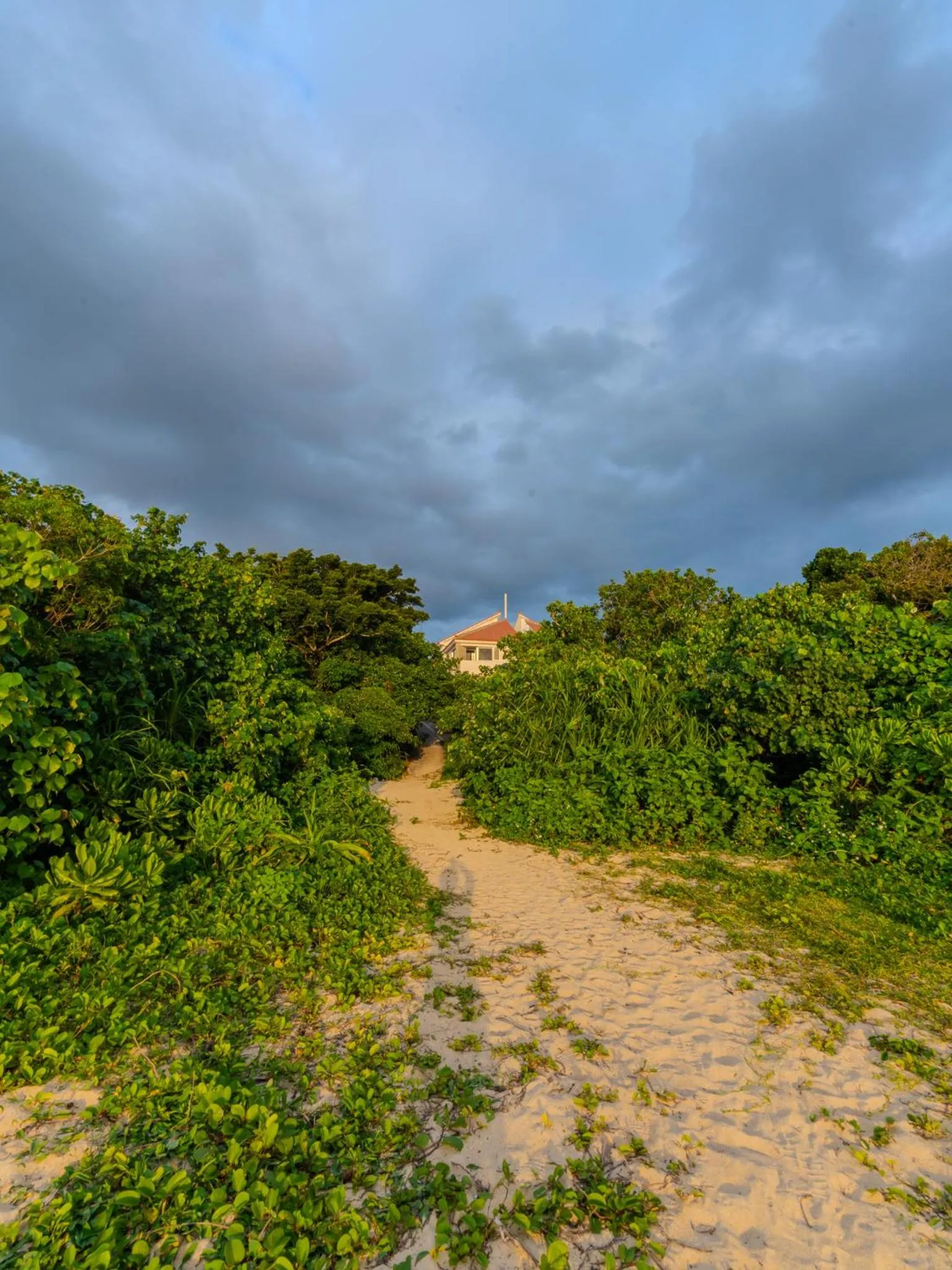 Alaise De Bale Ishigaki