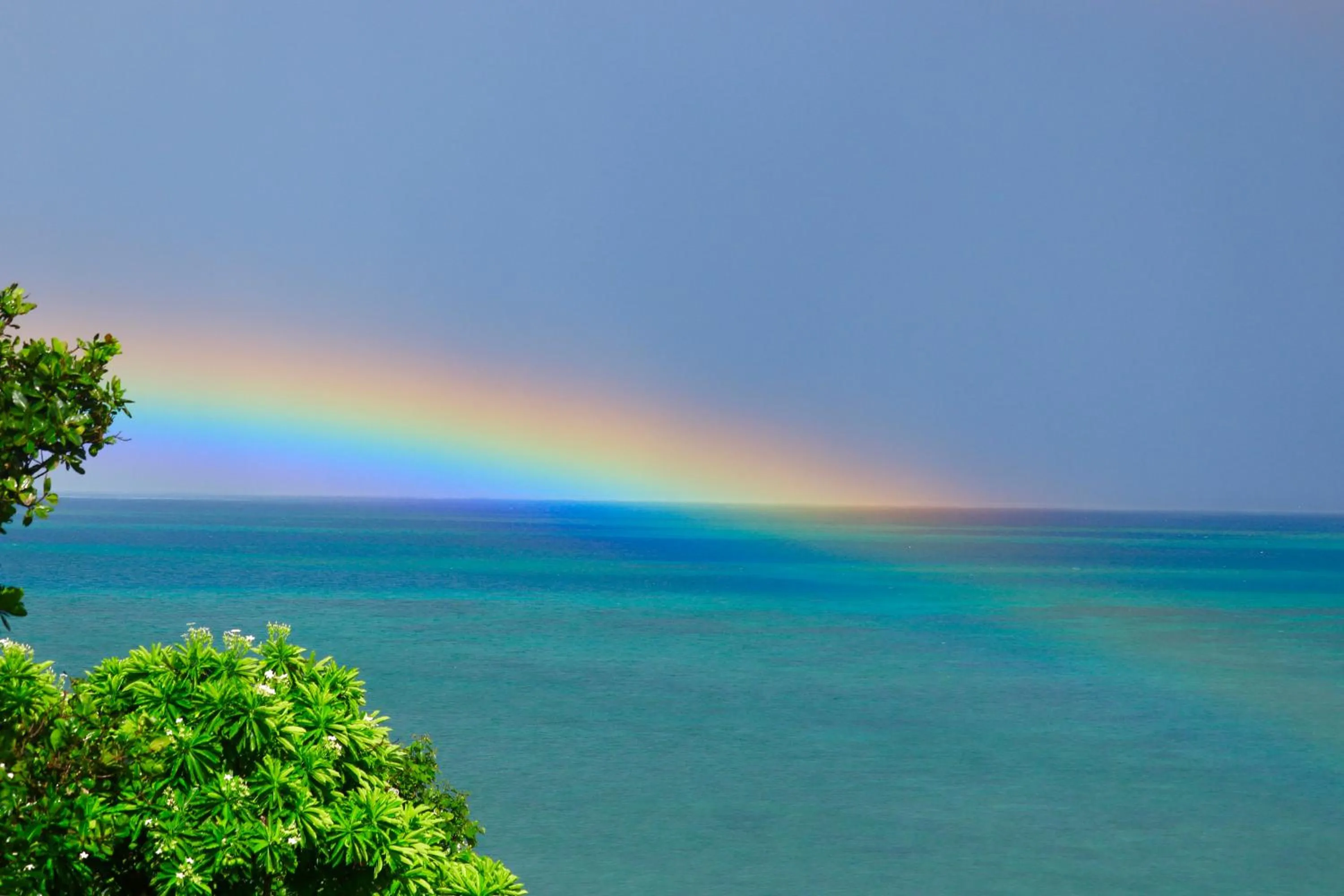 Natural landscape in Alaise De Bale Ishigaki