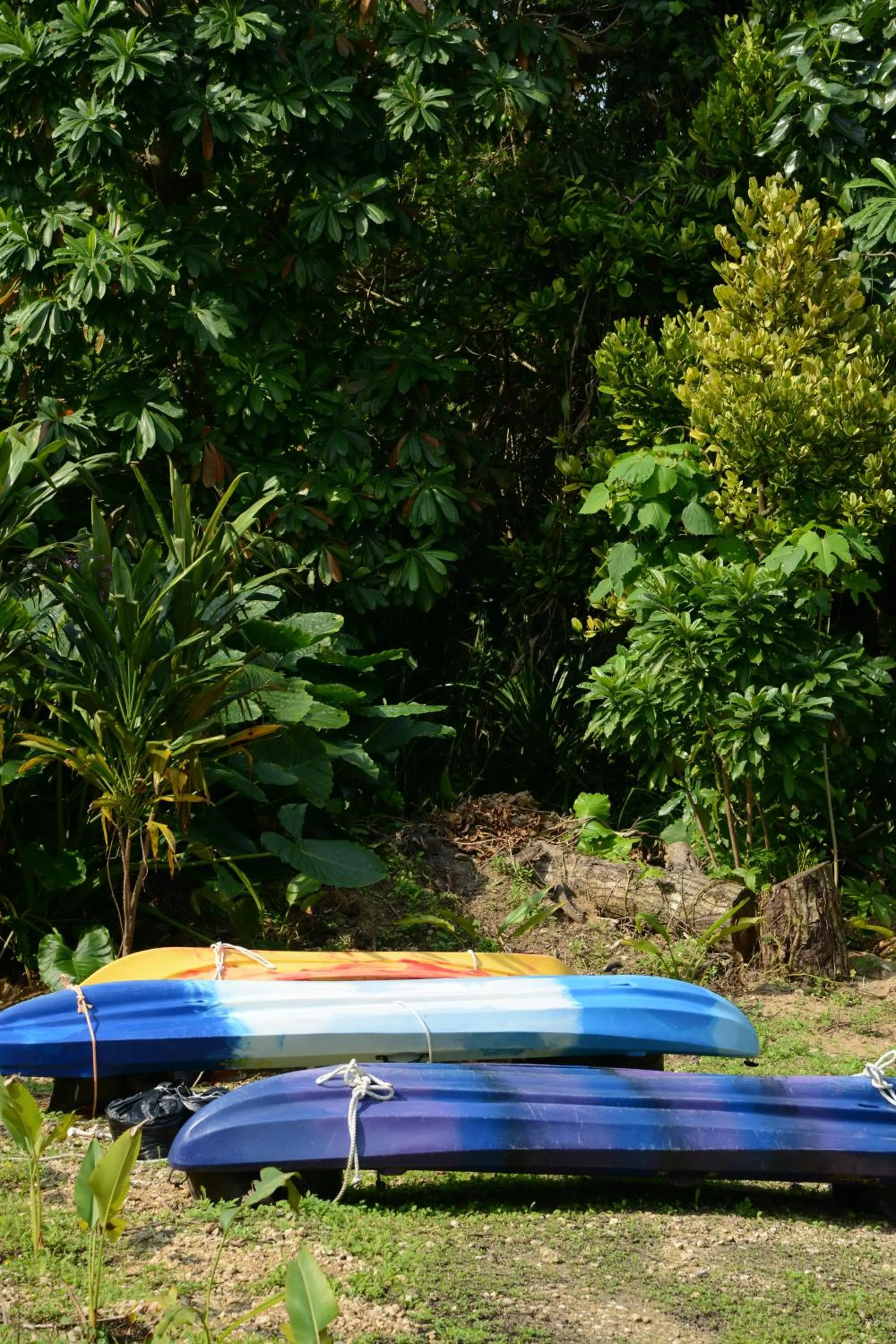 Day in Sky Ocean - Ishigaki Eco-Resort - Newly Renovated