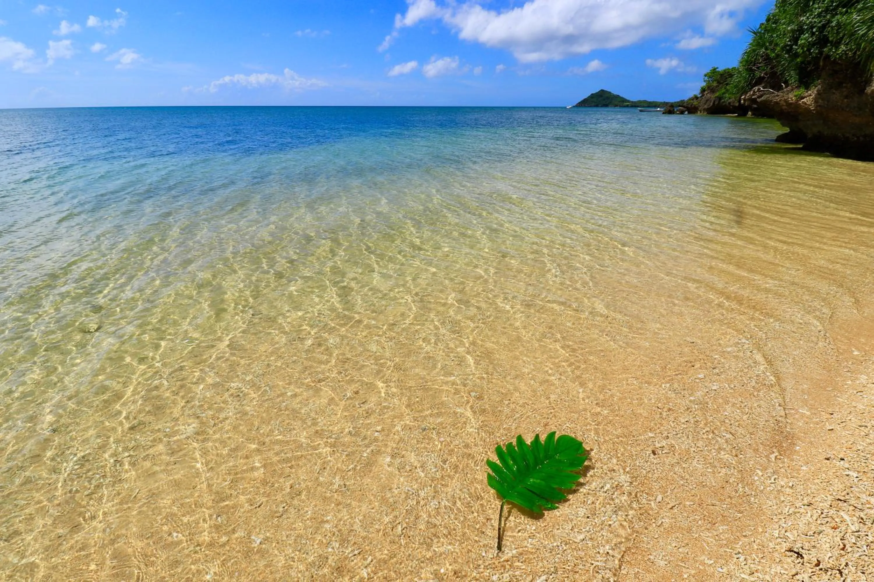 Off site in Alaise De Bale Ishigaki