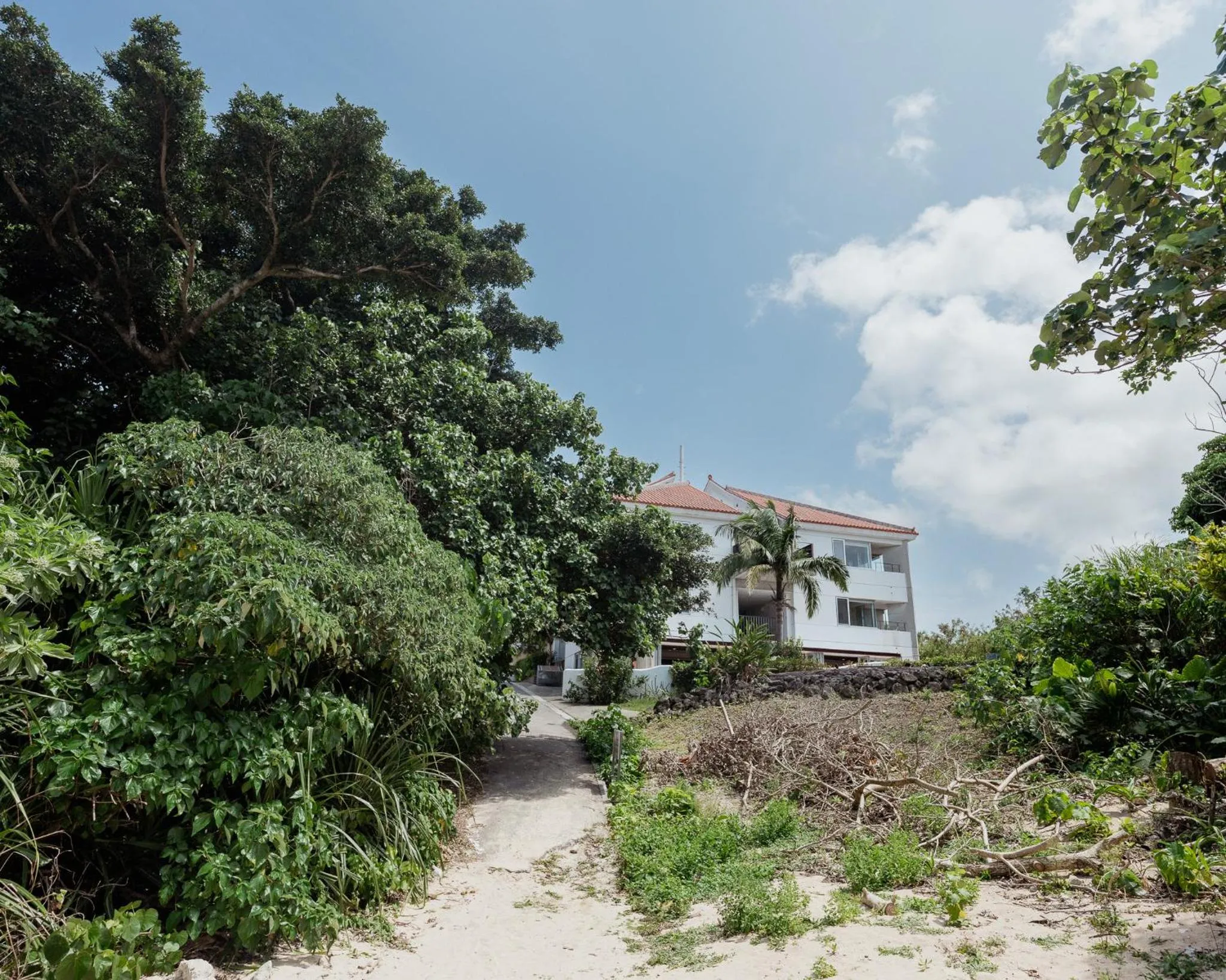 Alaise De Bale Ishigaki