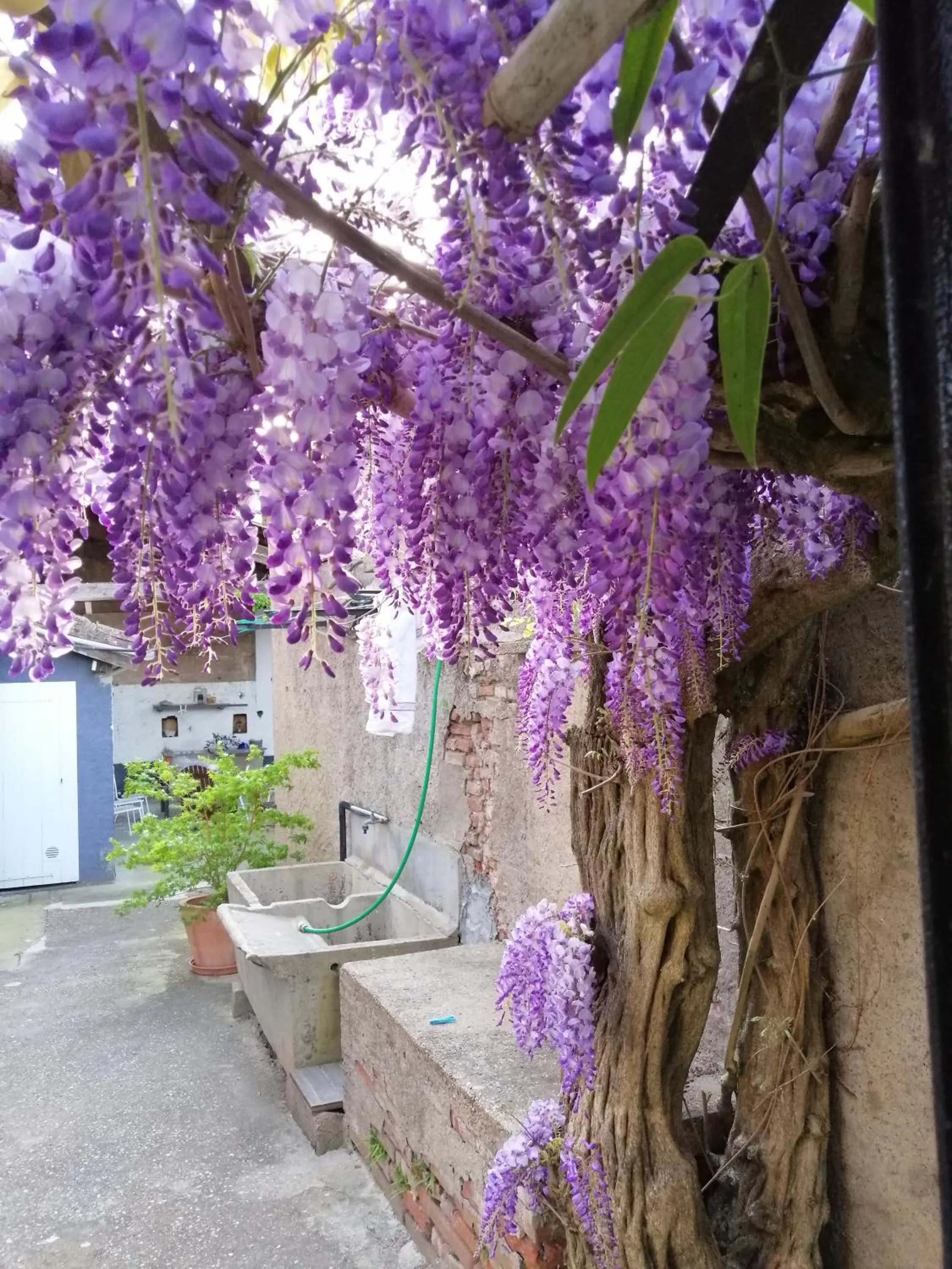 B&B La Maison de Julia