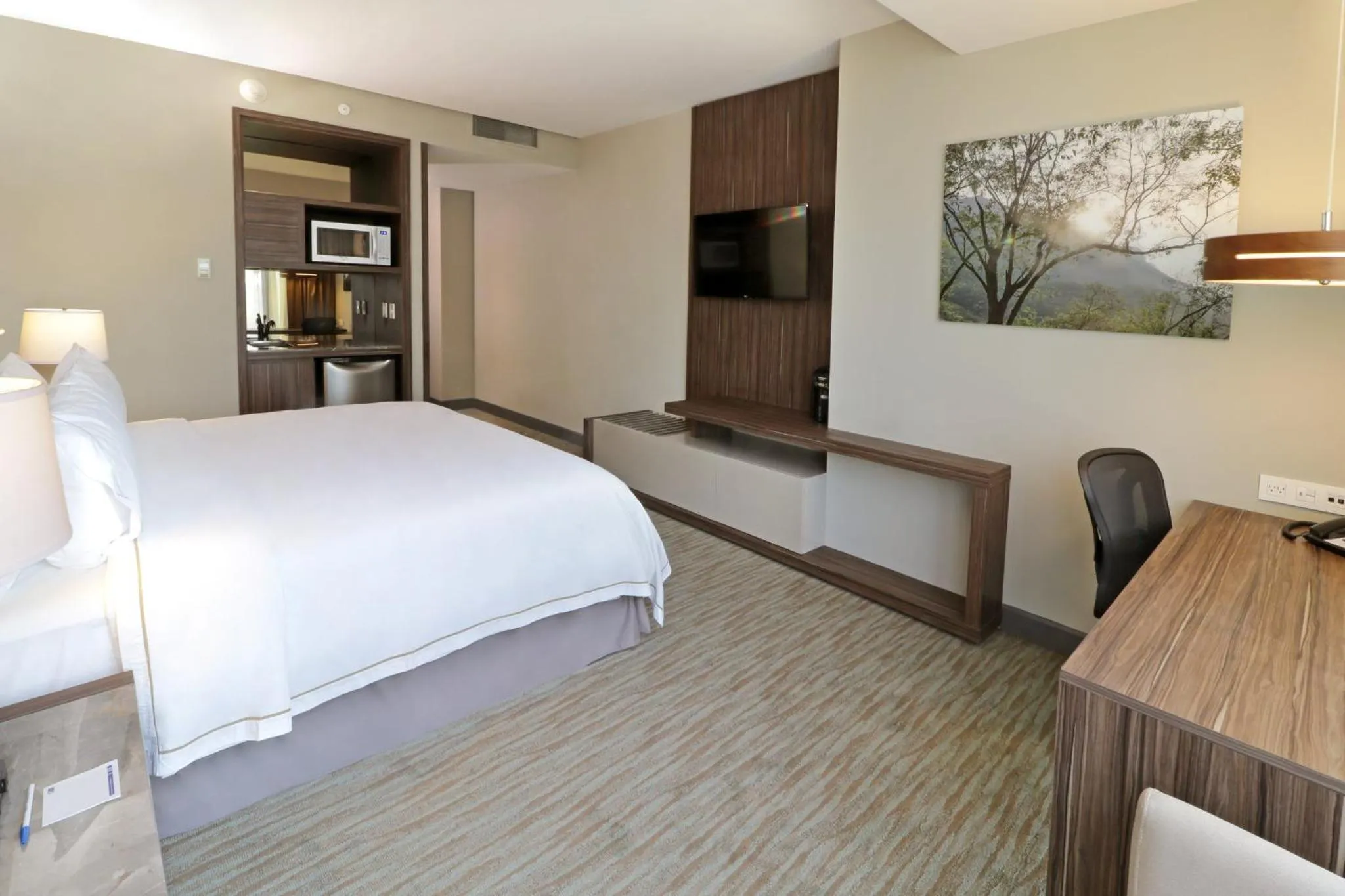 Photo of the whole room, Bed in Holiday Inn Express & Suites Monterrey Valle by IHG