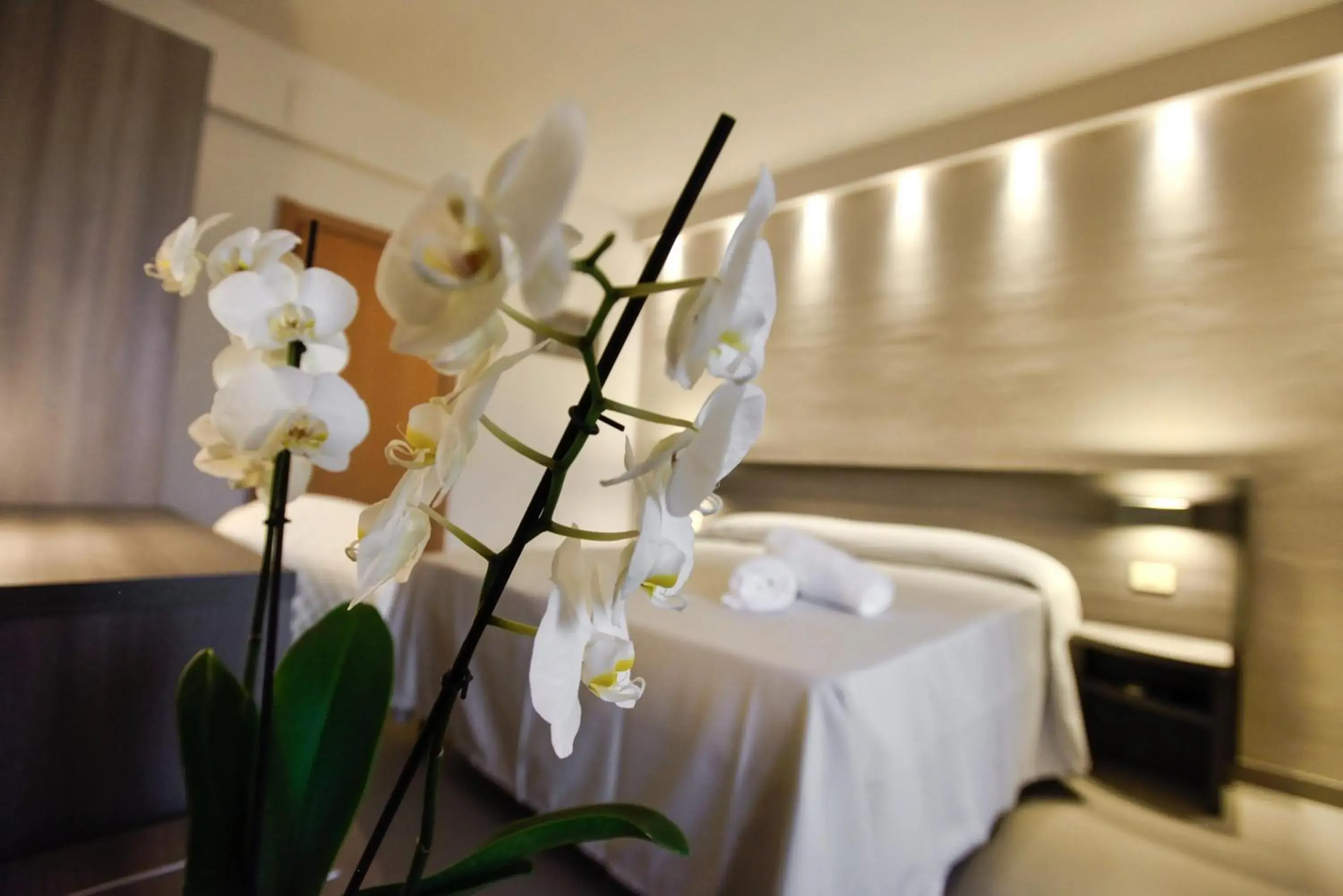 Hotel Crystal Hotel Crystal