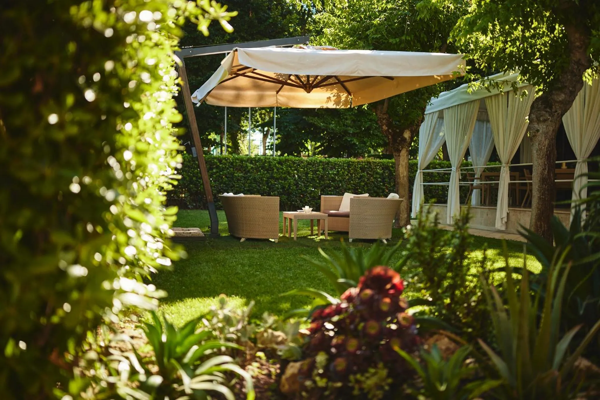 Garden in Hotel Crystal