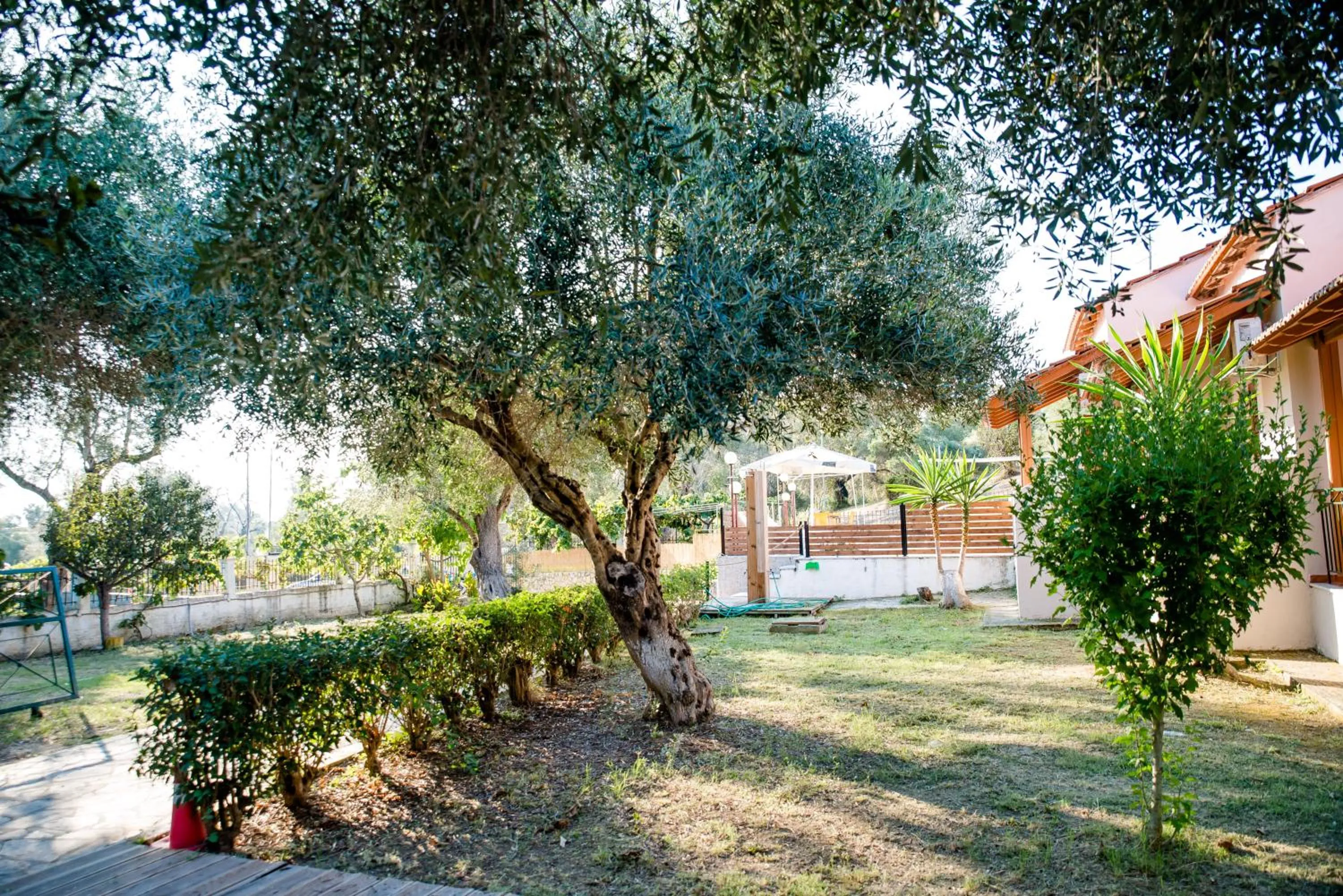 Garden view in Kalypso studio Resorts