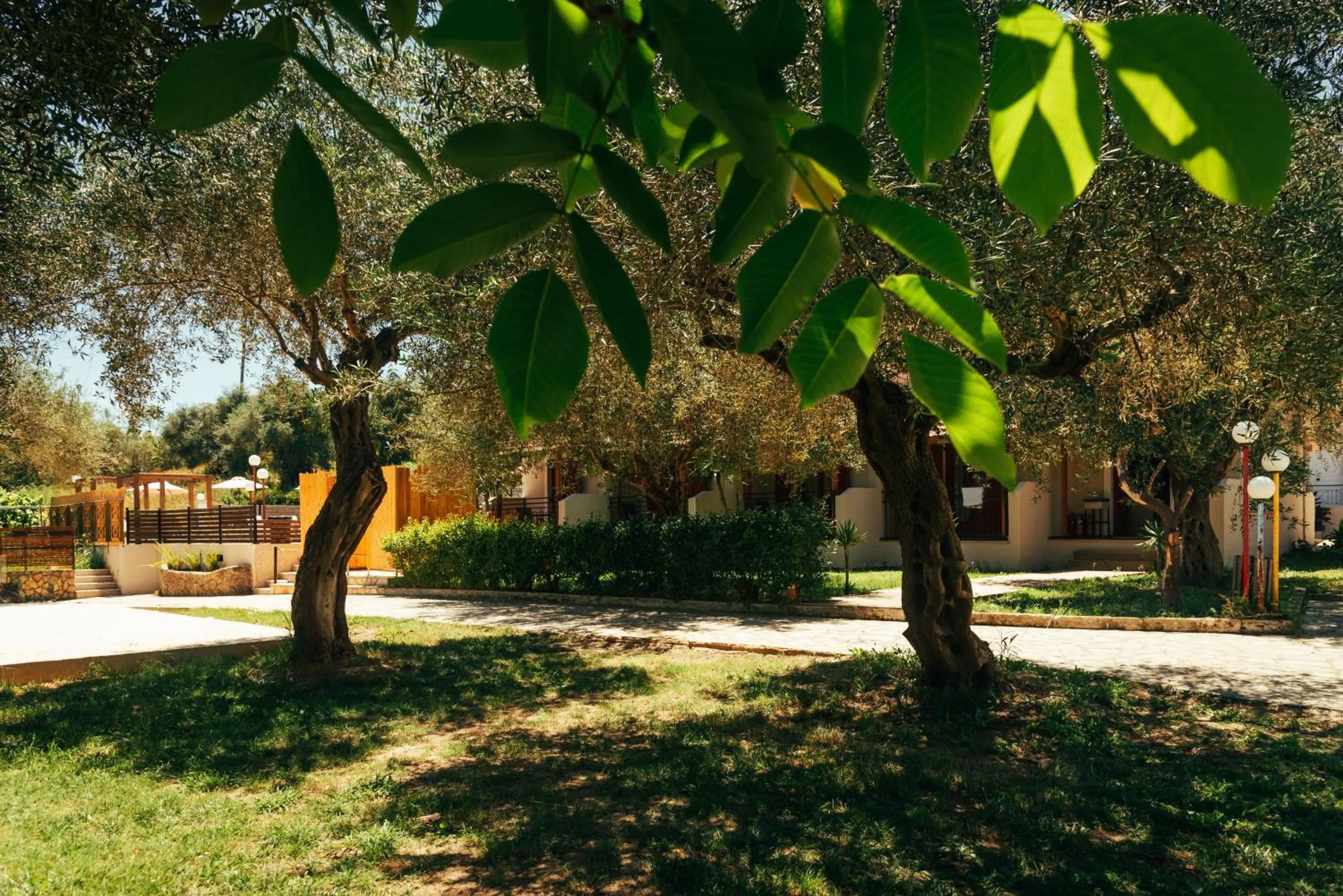 Spring in Kalypso studio Resorts