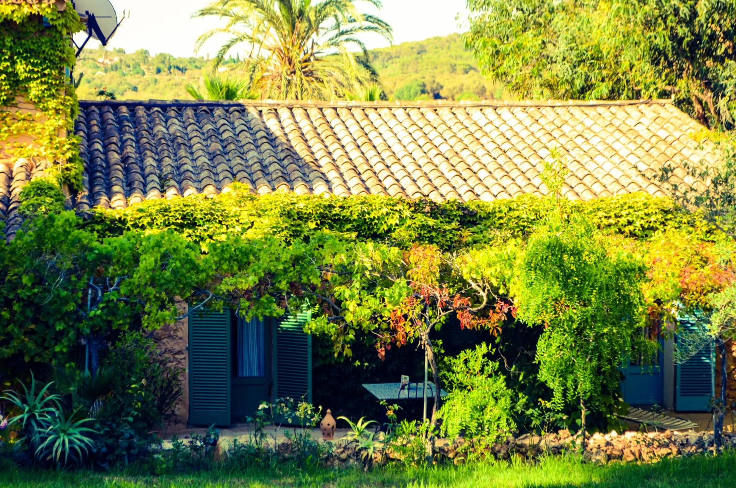 Property building in Son Vent