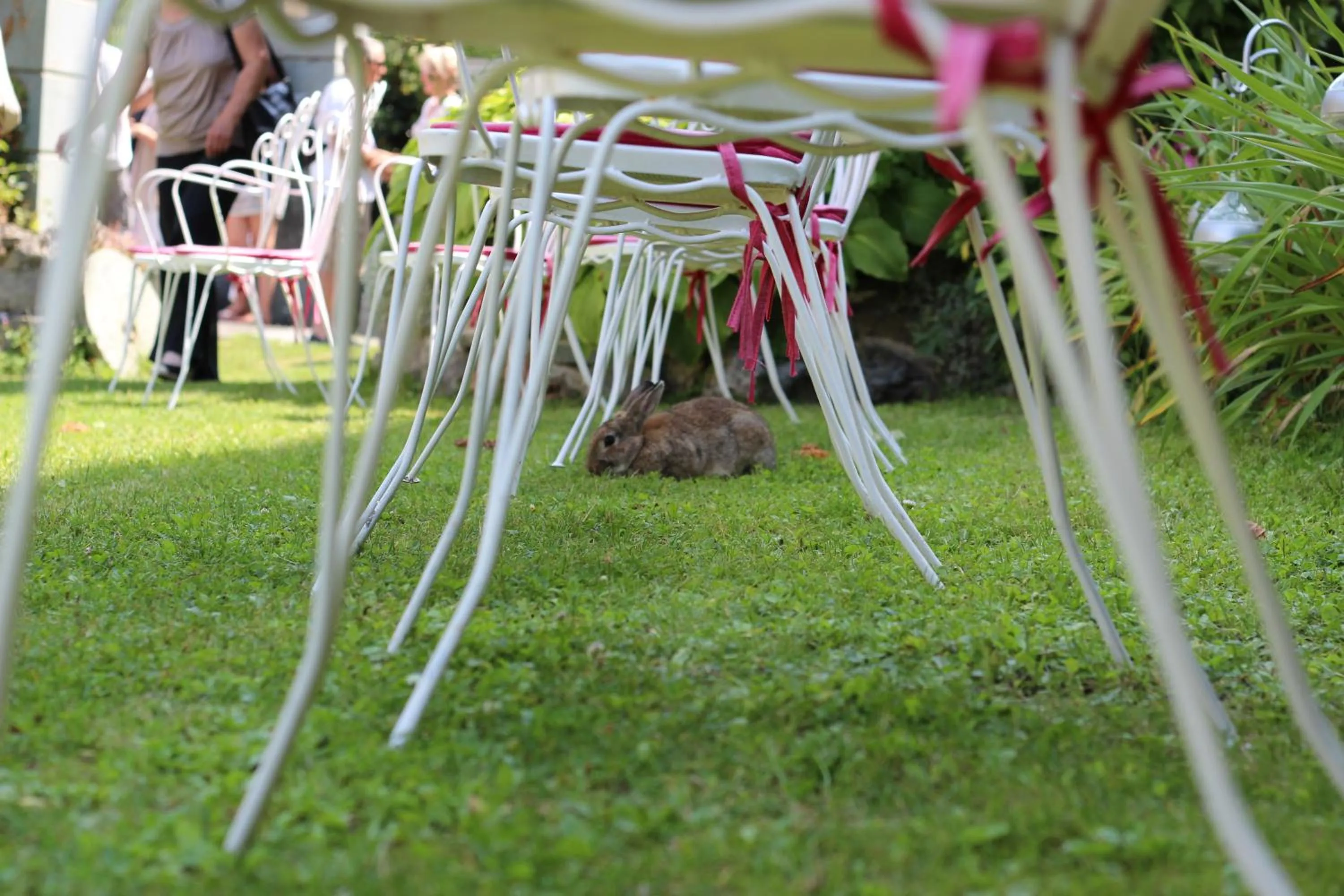 Garden view in Le Mirval