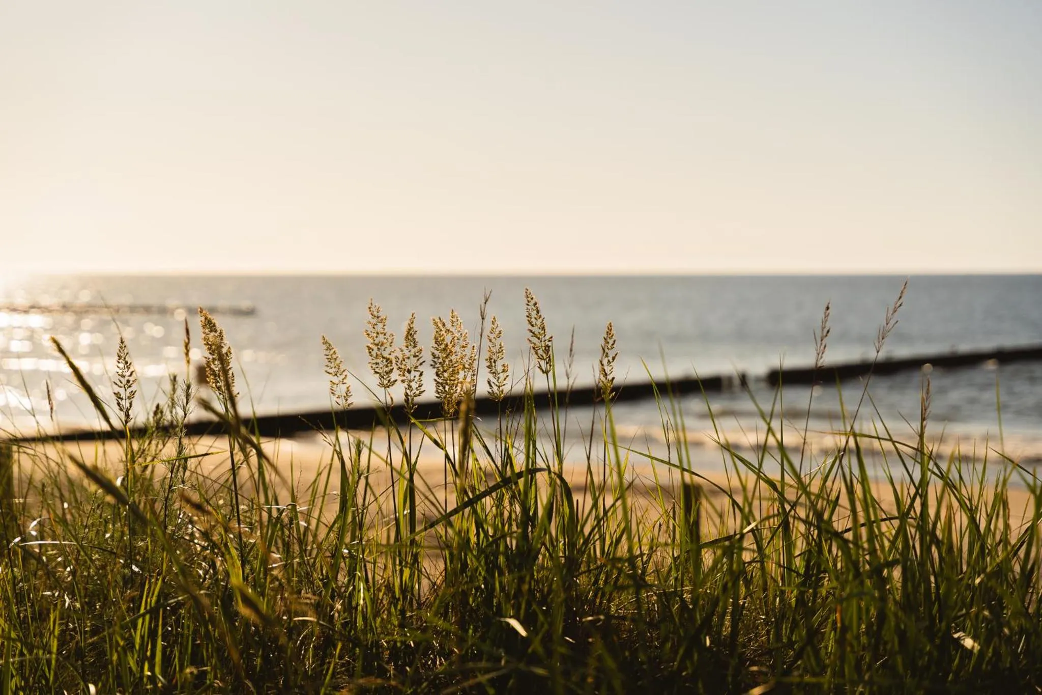 Beach in Neptuno Resort & Spa
