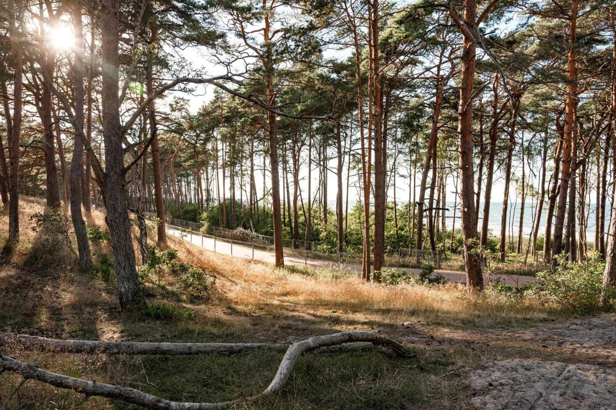 Spring in Neptuno Resort & Spa