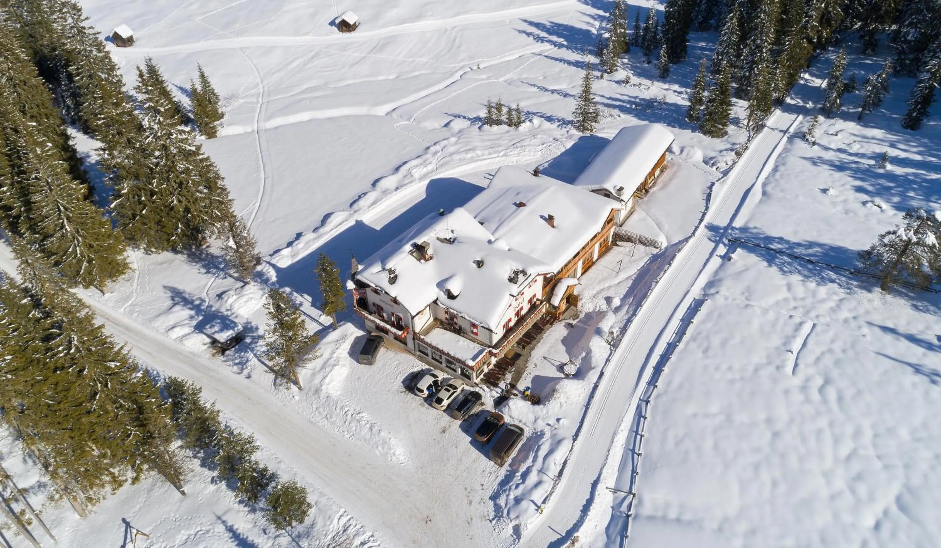 Bird's eye view in Alpin Natur Hotel Brückele