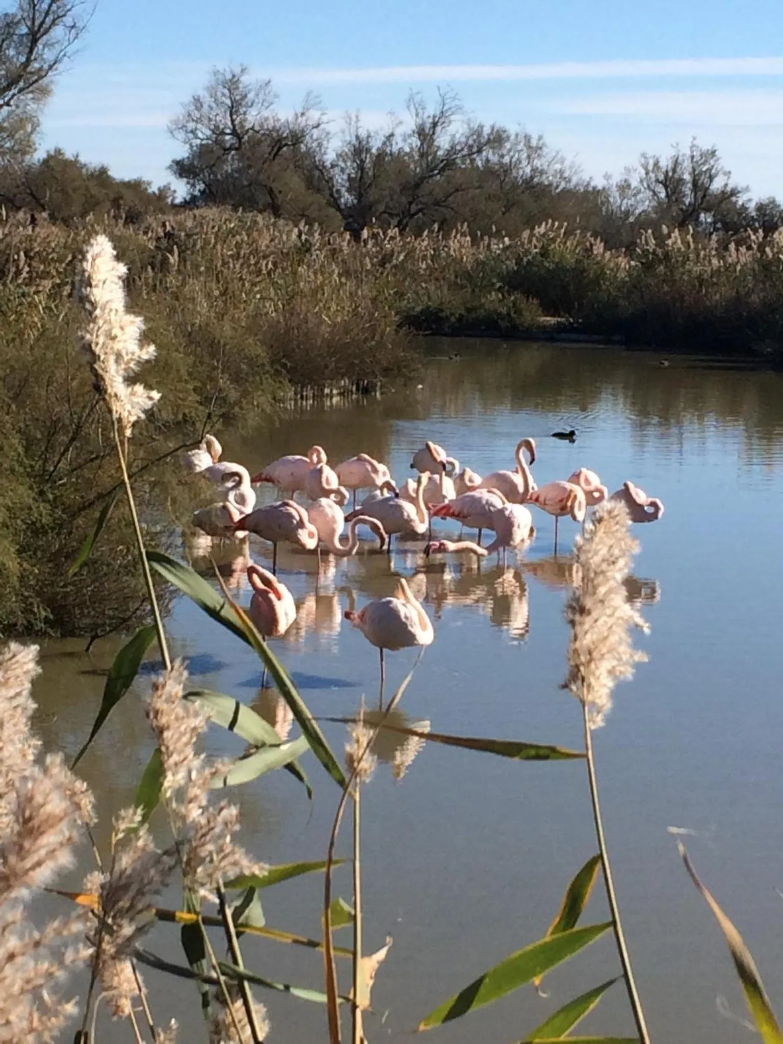 Nearby landmark in Le Verger