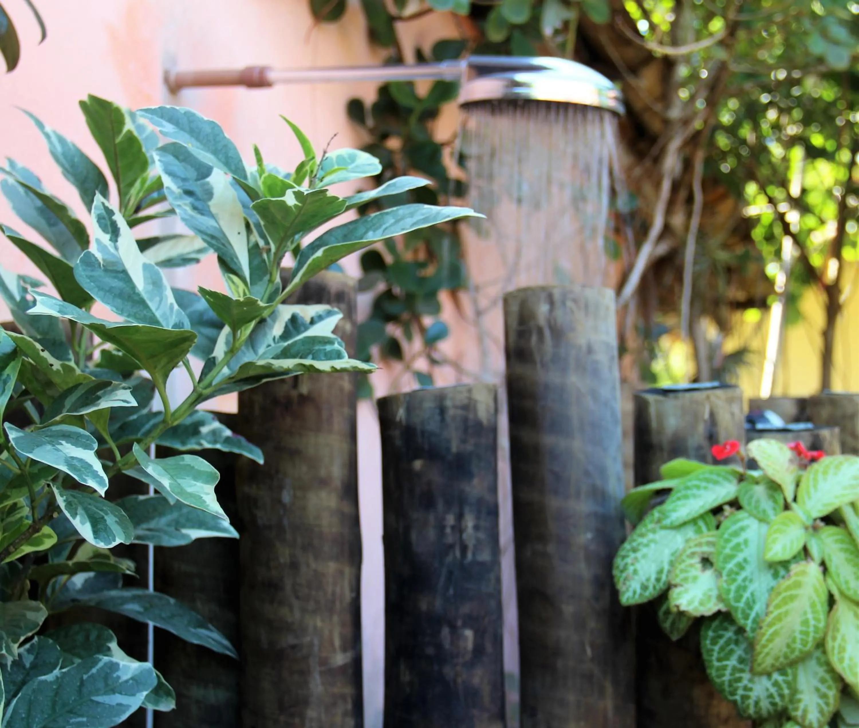 Garden in Pousada Solar