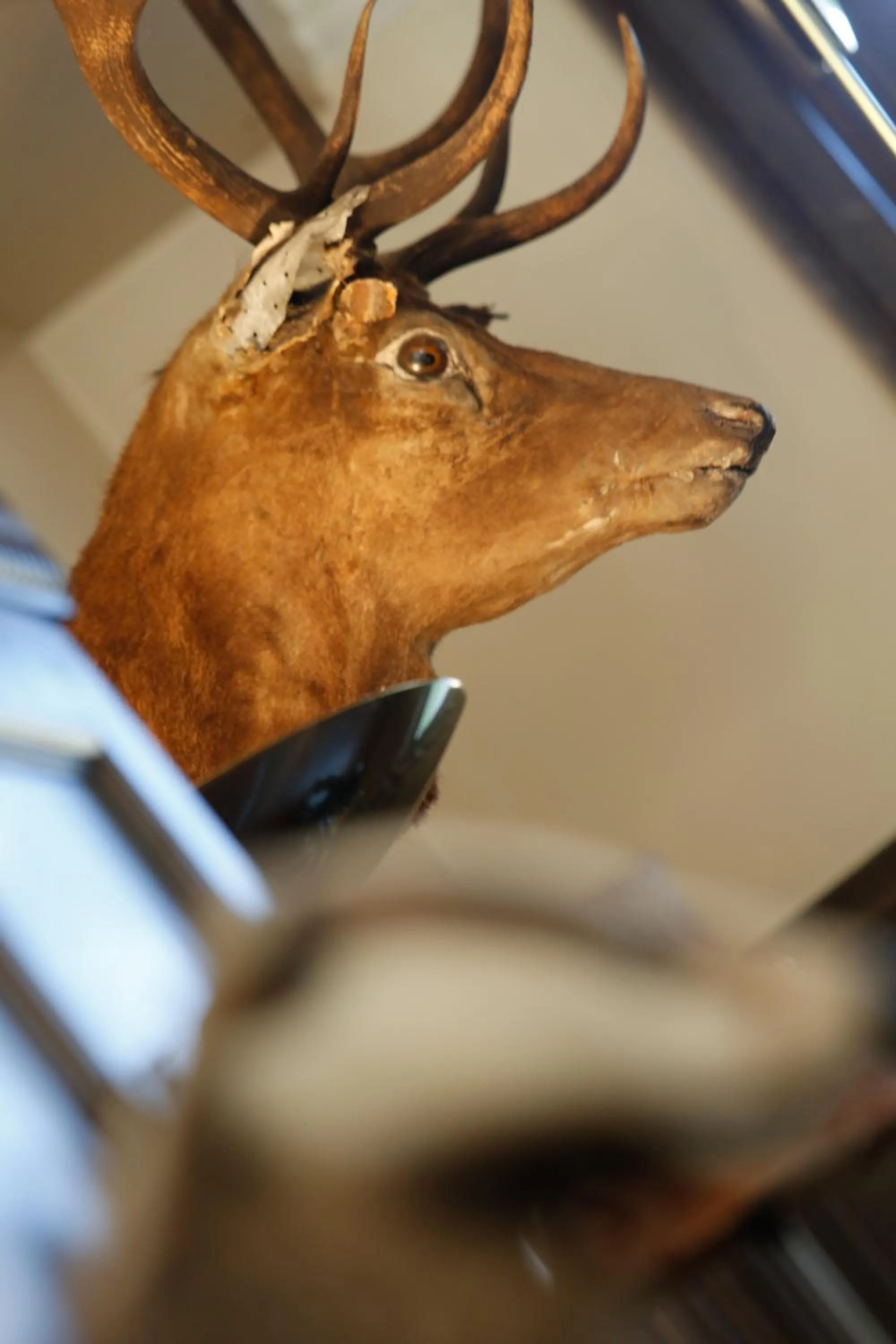 Food and drinks in BEST WESTERN The Crianlarich Hotel