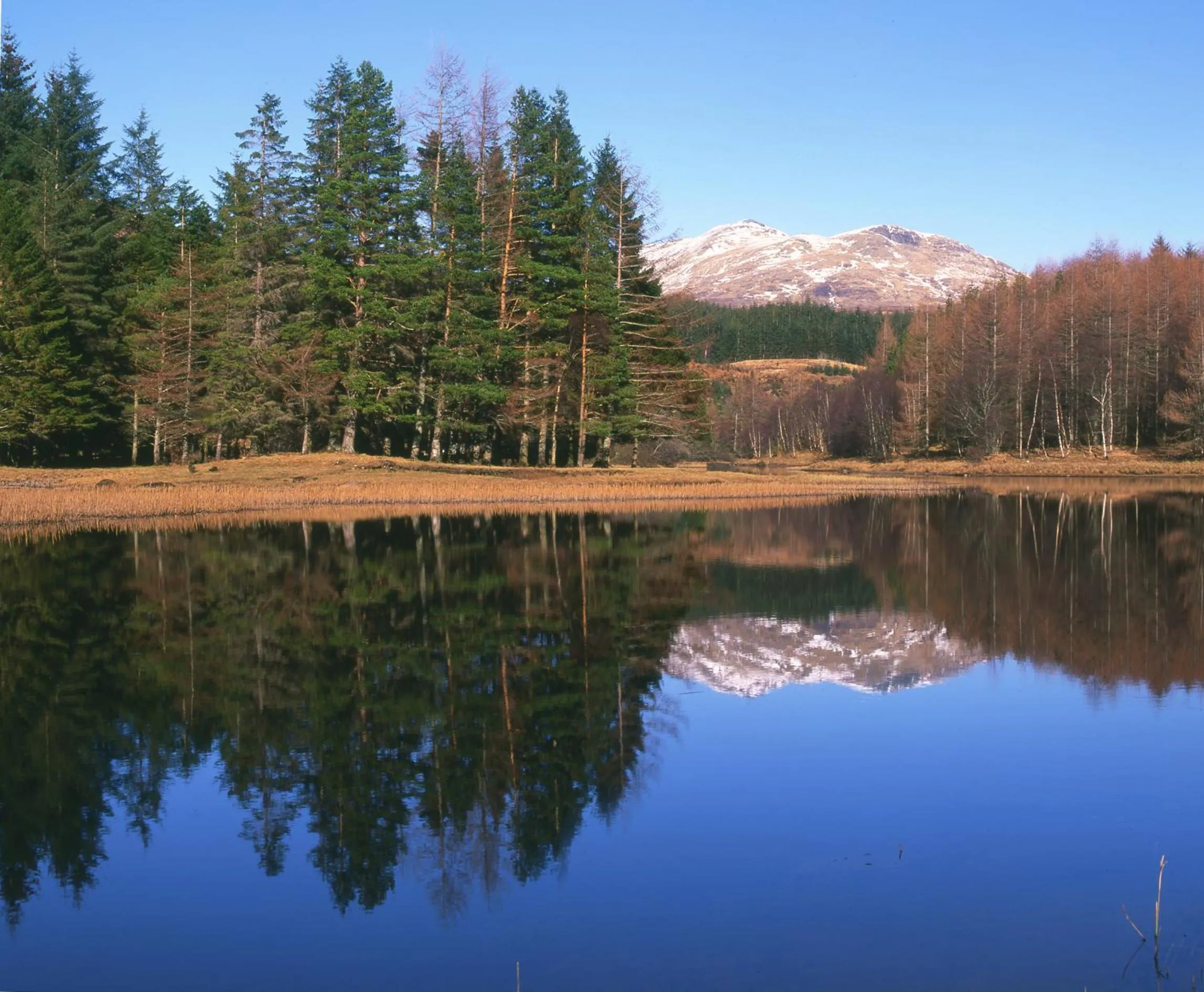 Area and facilities in BEST WESTERN The Crianlarich Hotel