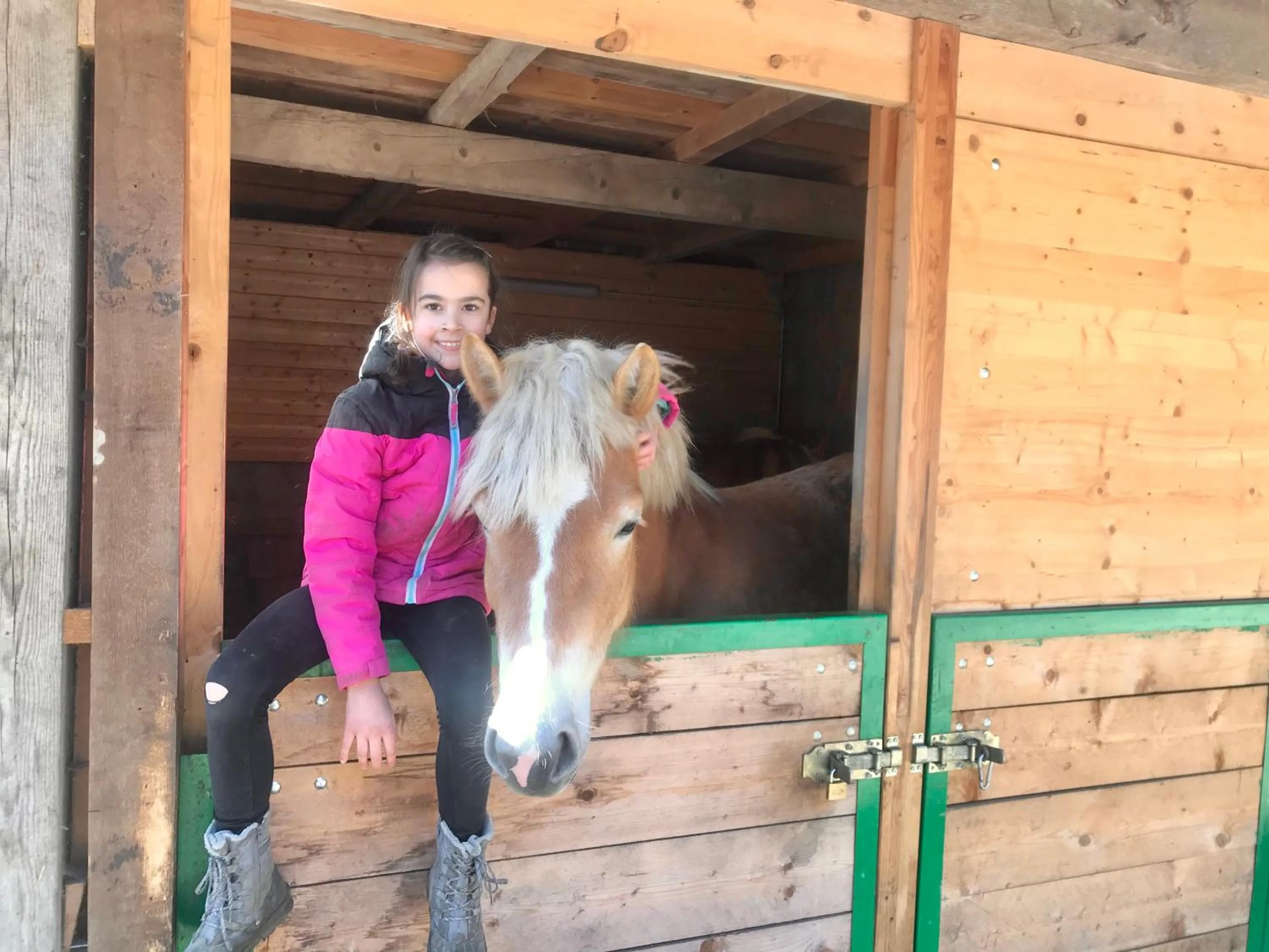 Animals in Lug ins Land