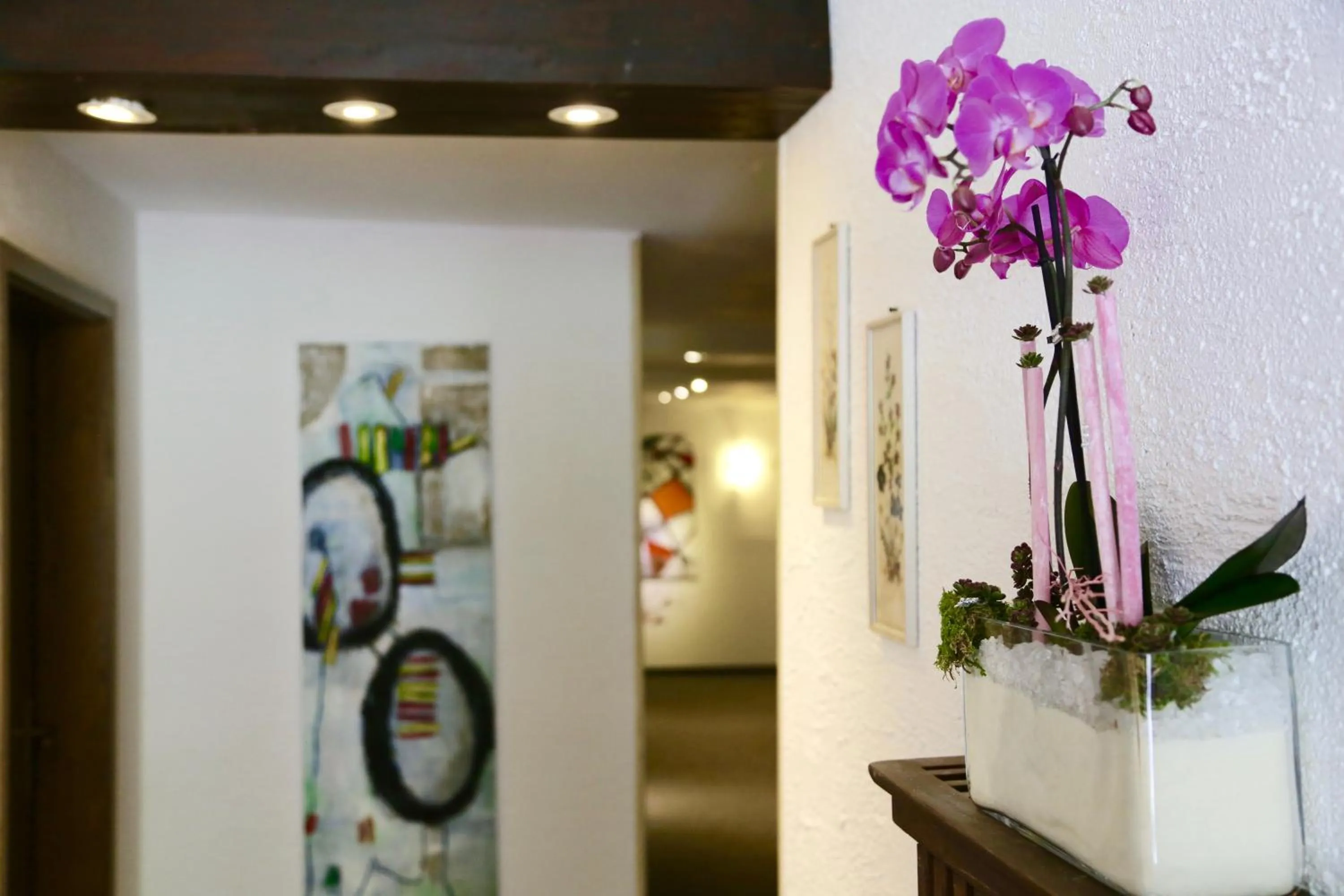 Area and facilities in Das Waldhaus