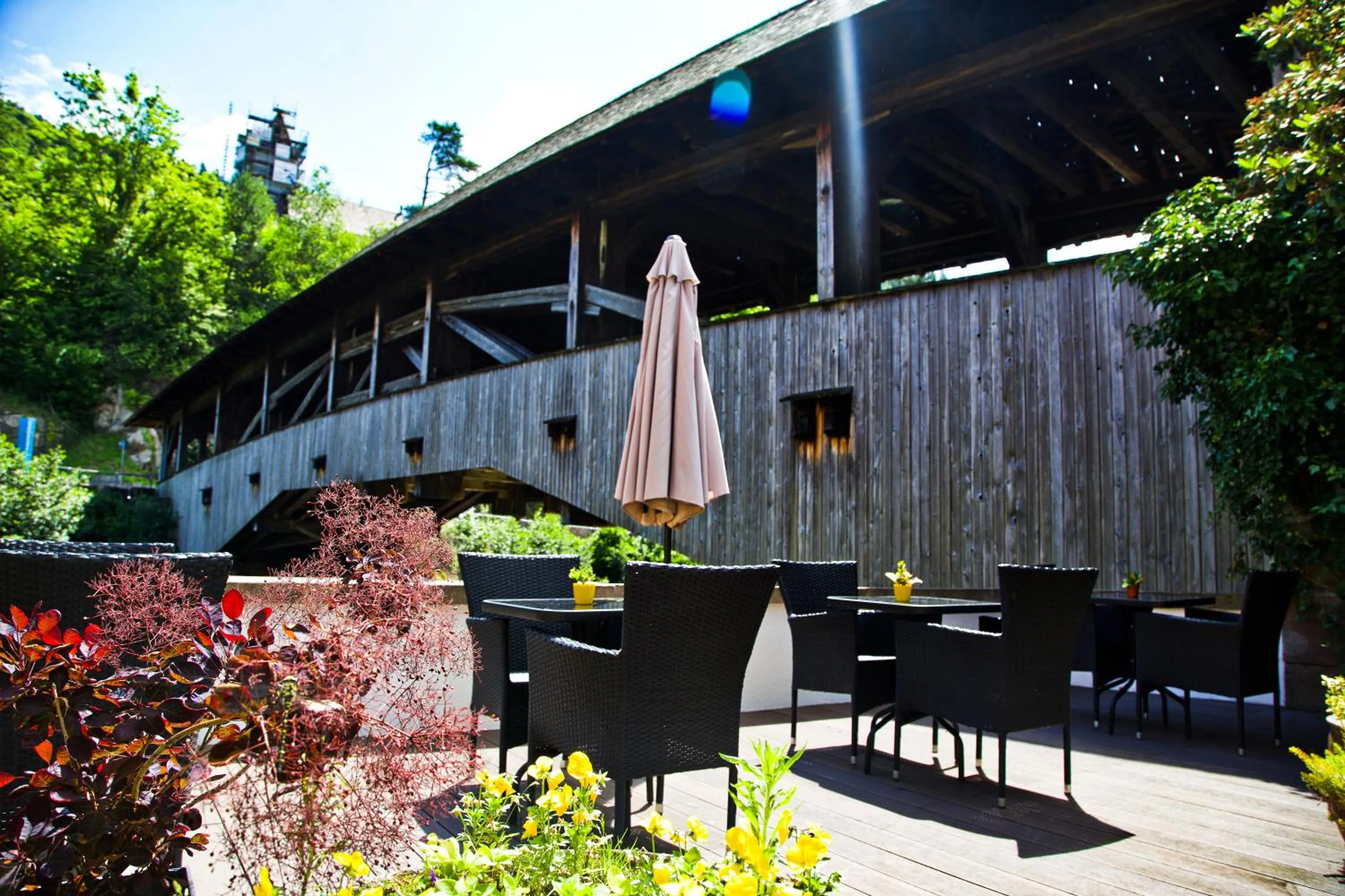 Garden in Das Waldhaus