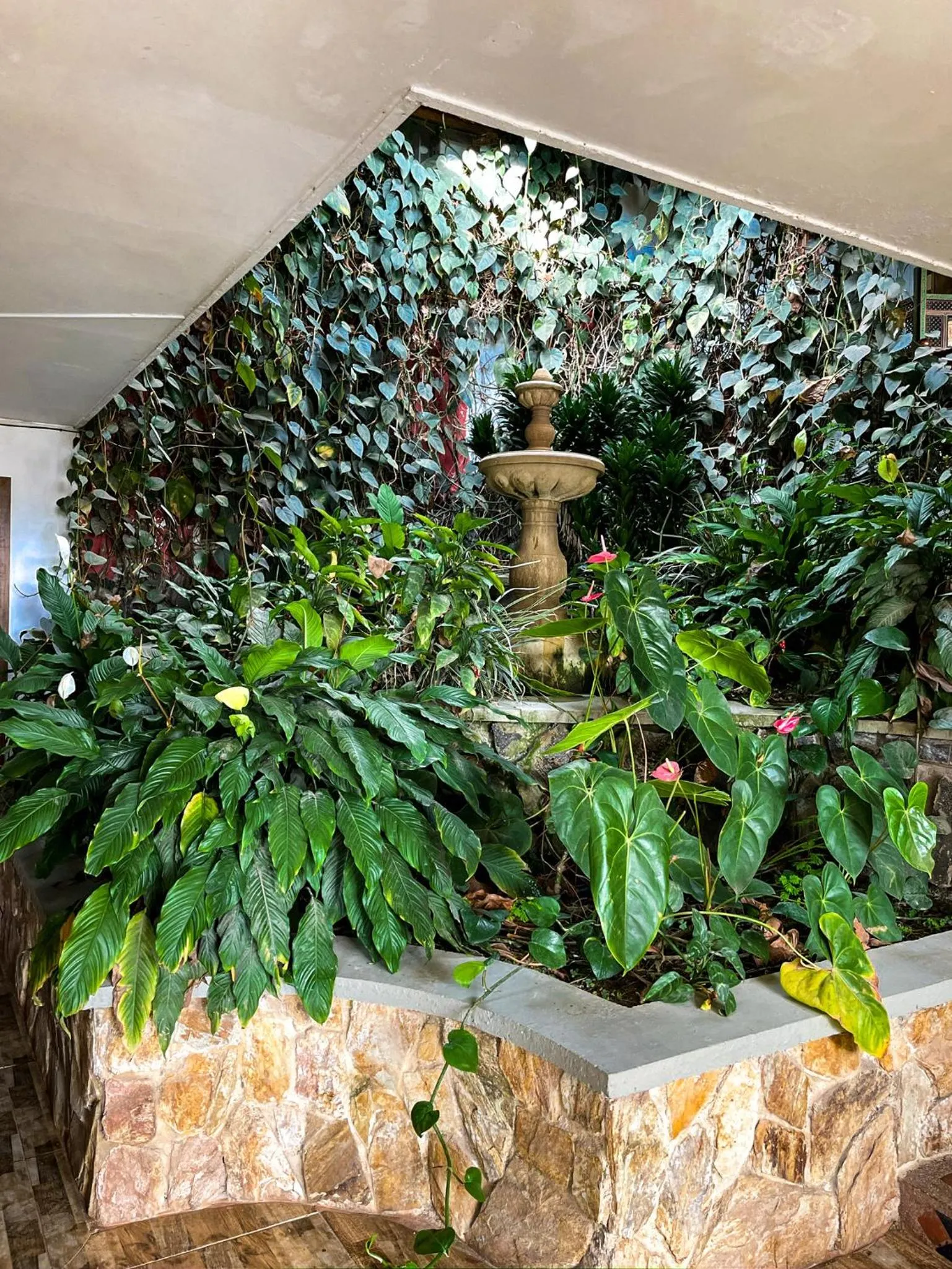 Garden in Hotel Spa La Colina