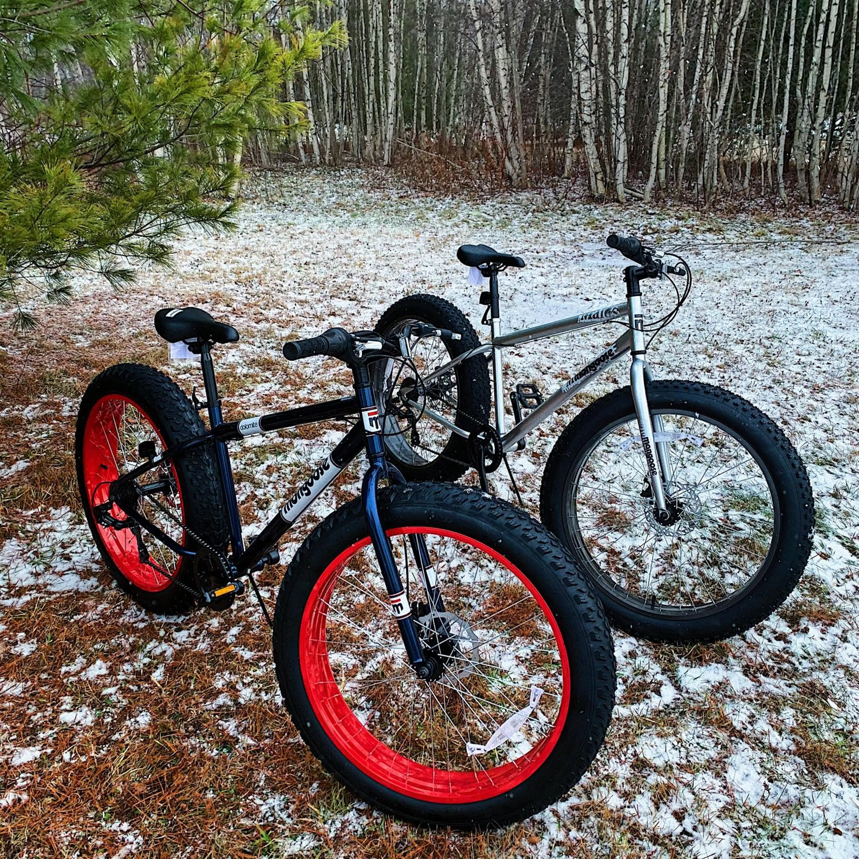 Cycling in Chalets du Domaine Yamaska