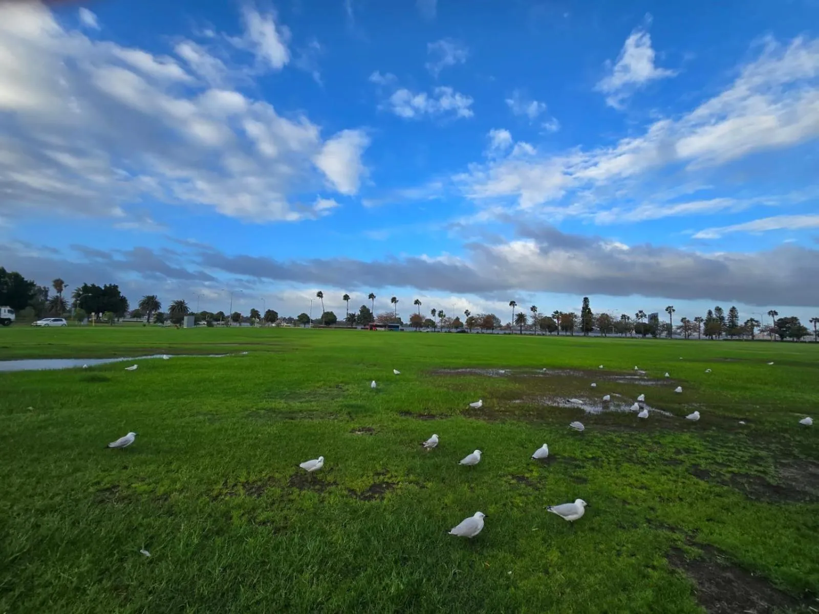 Natural landscape in Residence on Langley Park