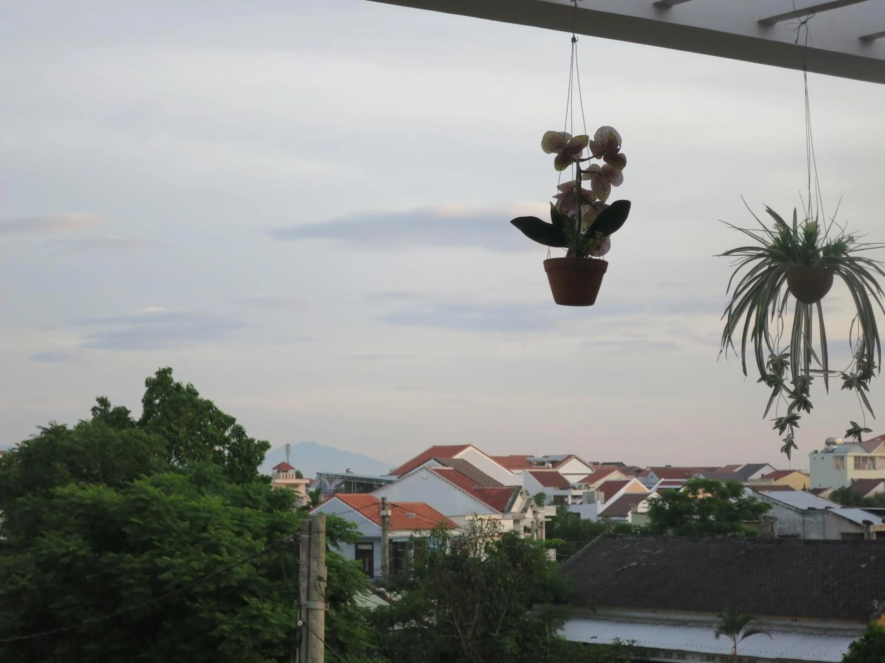 Bird's eye view in Fireworks Homestay