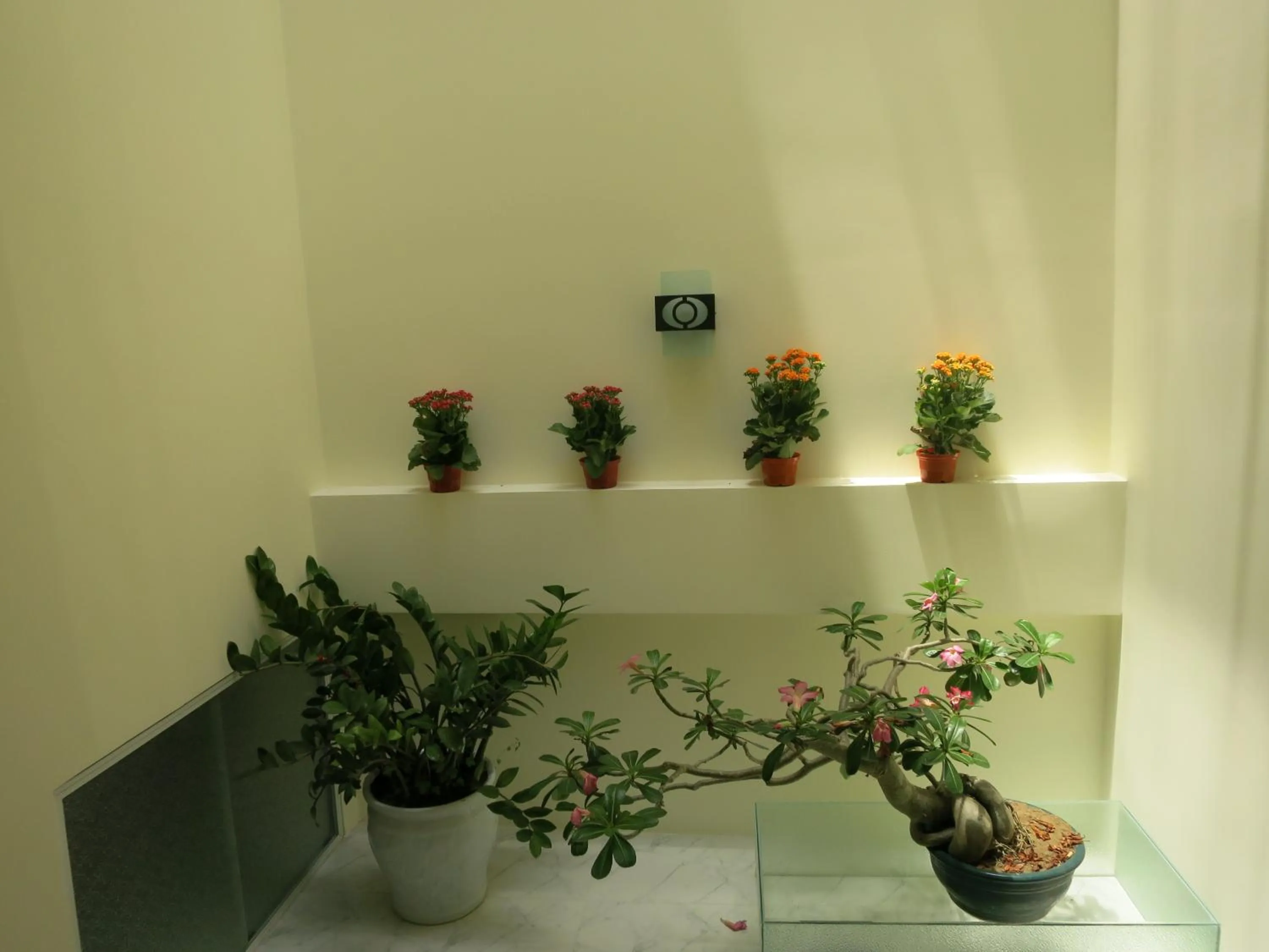 Decorative detail in Fireworks Homestay