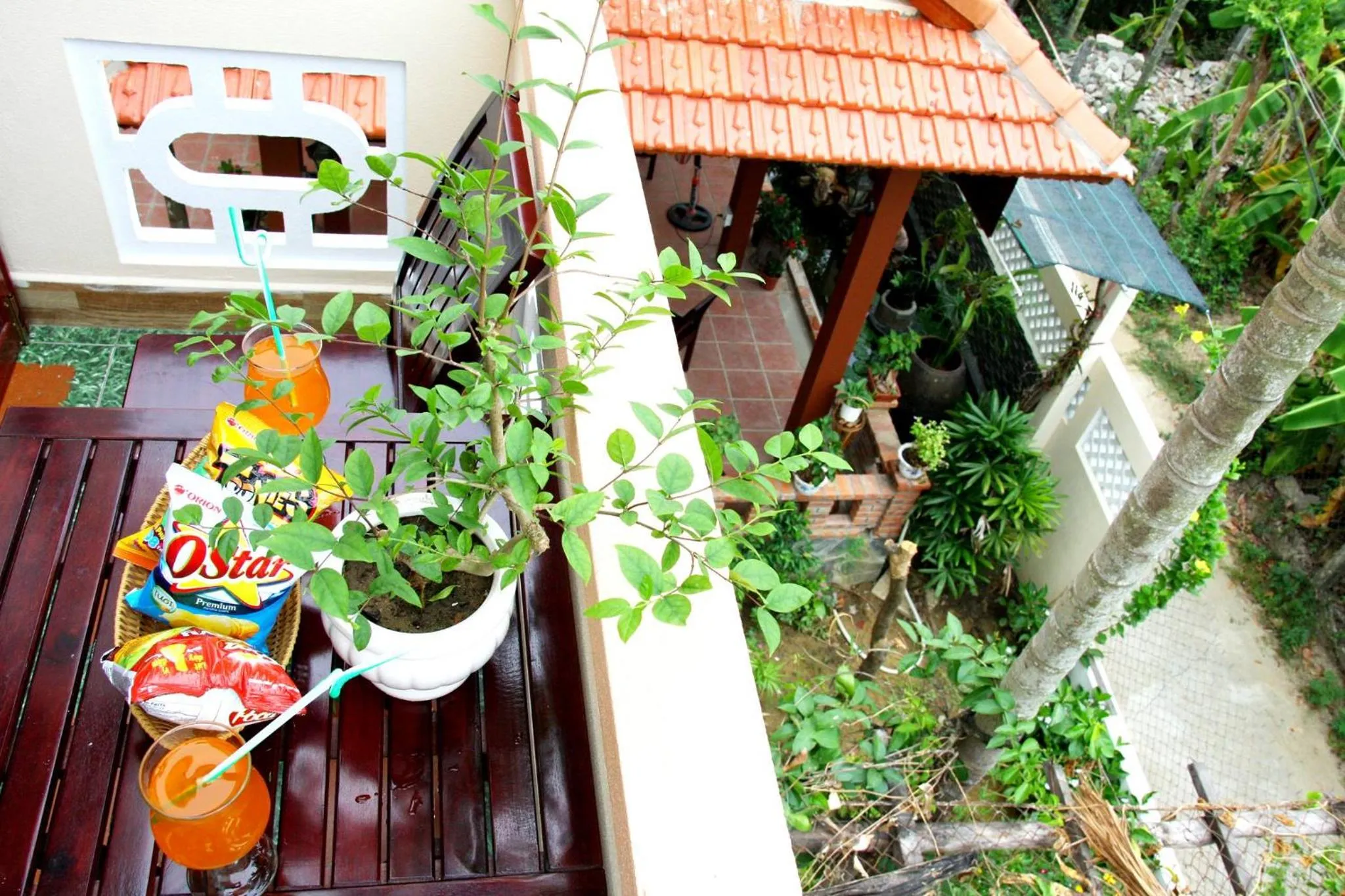 Balcony/Terrace in Village Love Homestay