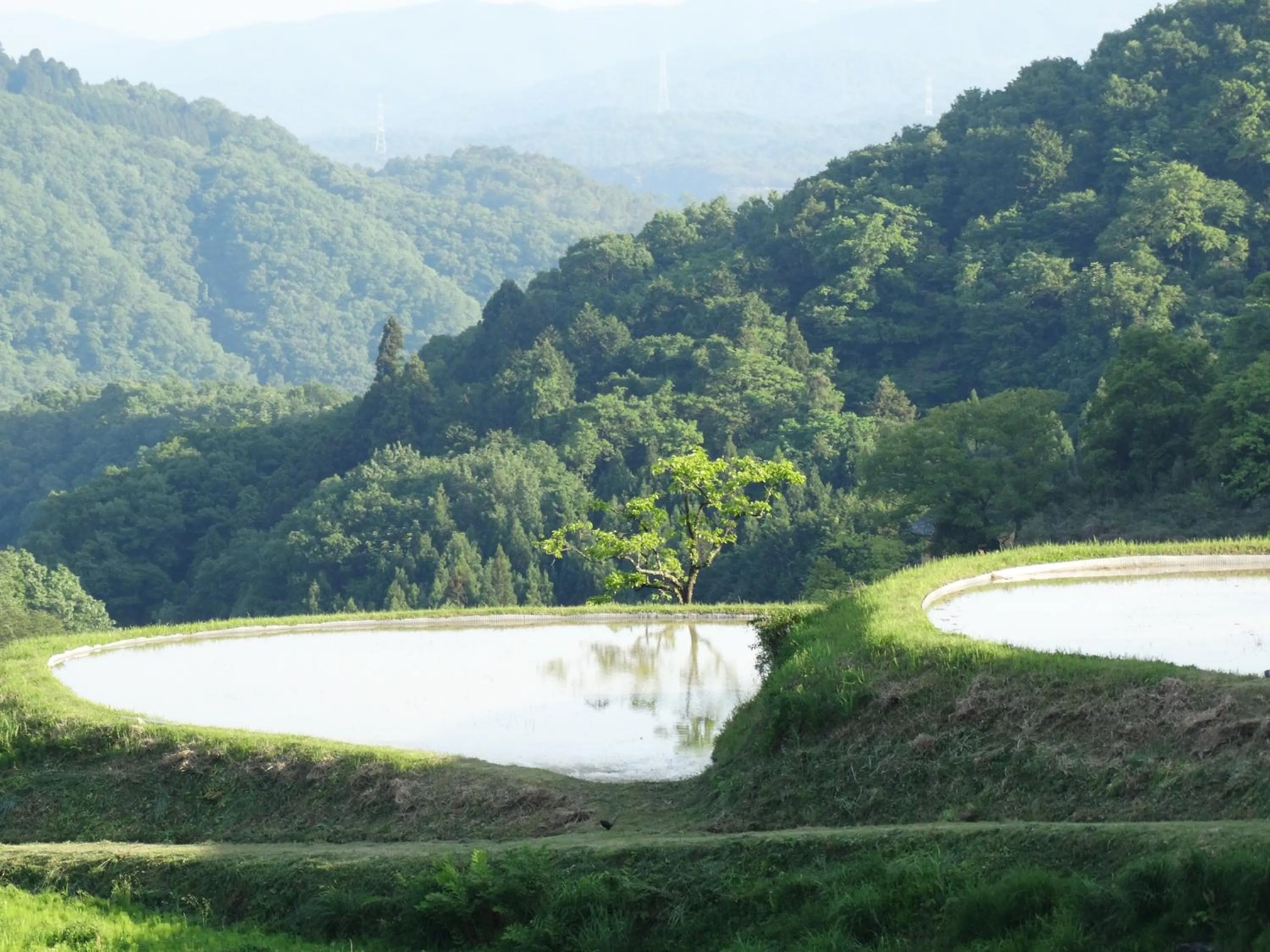 Communal lounge/ TV room in Aunsanbo