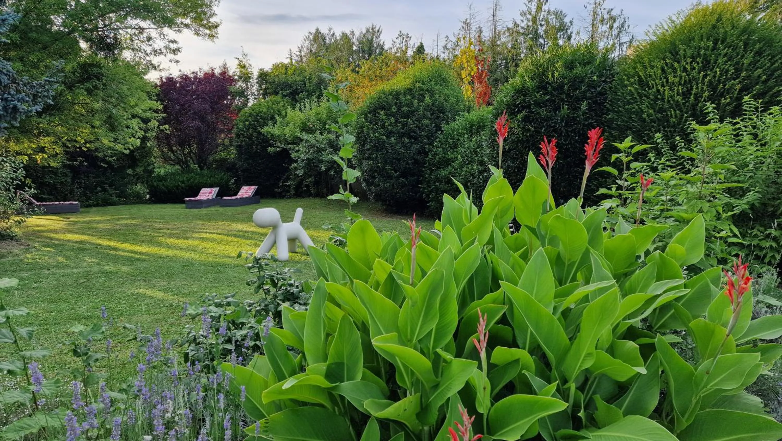 Garden in Hôtel Saint Jacques