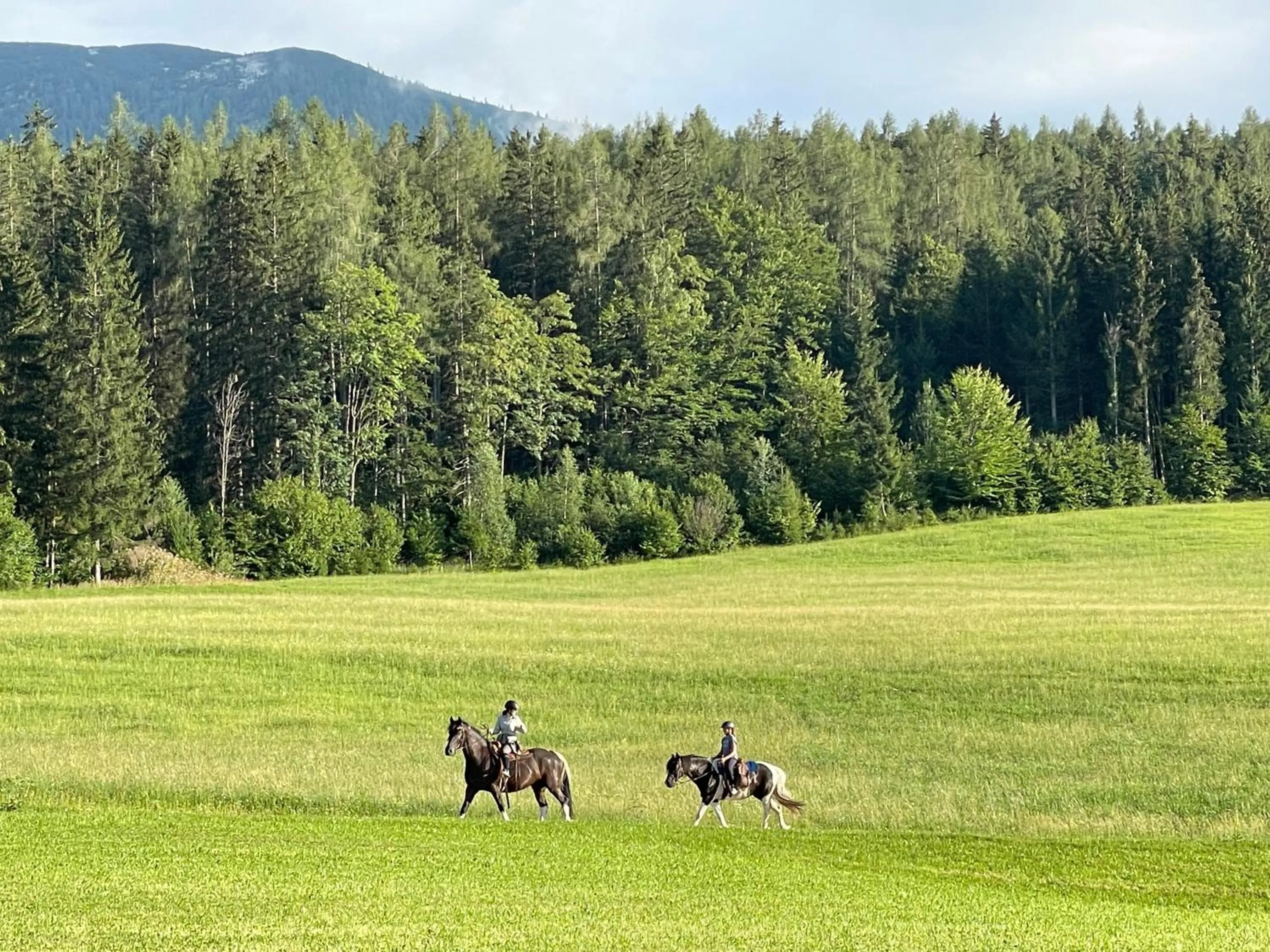 Horse-riding in Fleischerei - Apartments, Cafe & Weinbar