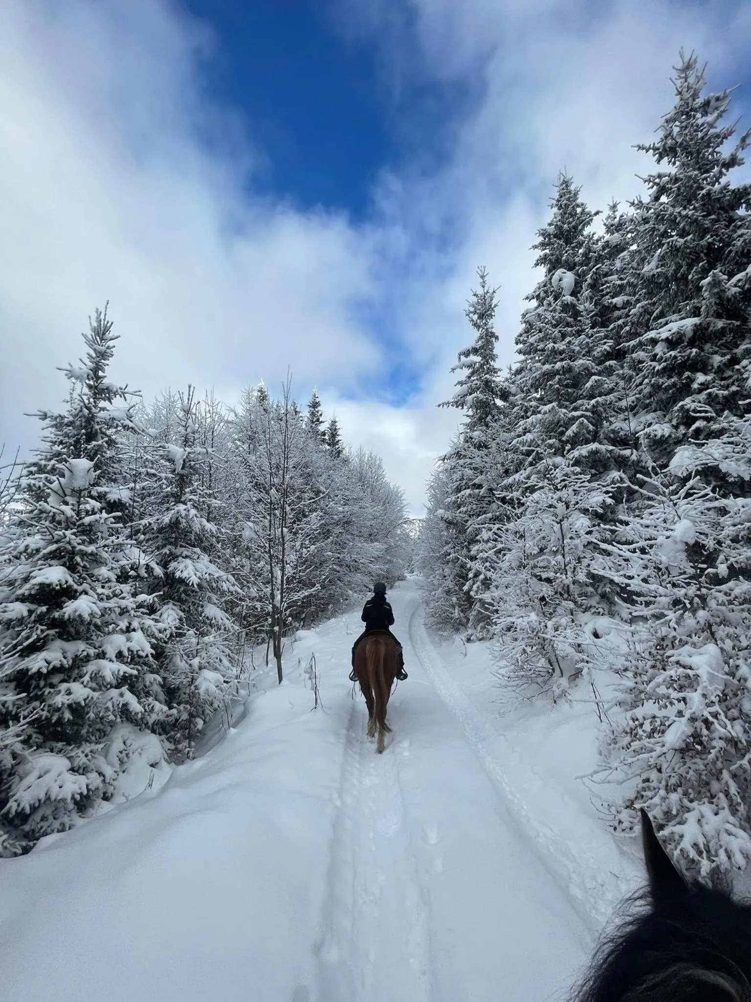 Winter in Fleischerei - Apartments, Cafe & Weinbar