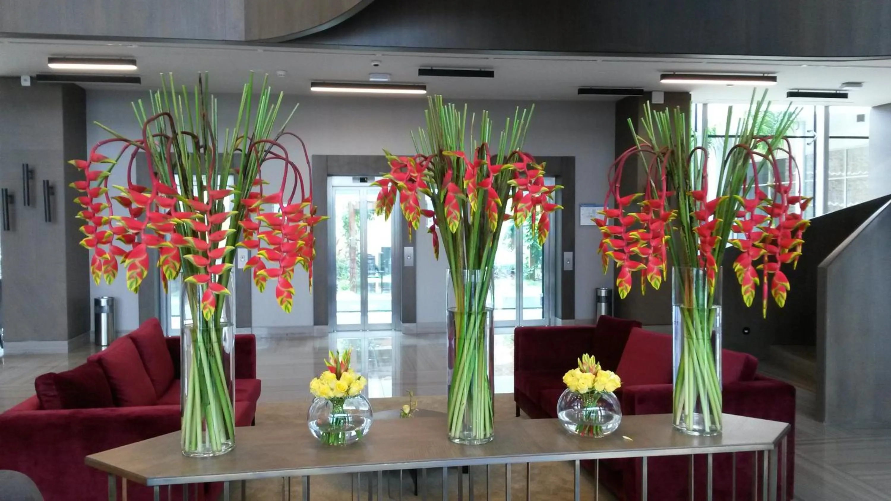 Lobby or reception in Radisson Blu Hotel, Abidjan Airport