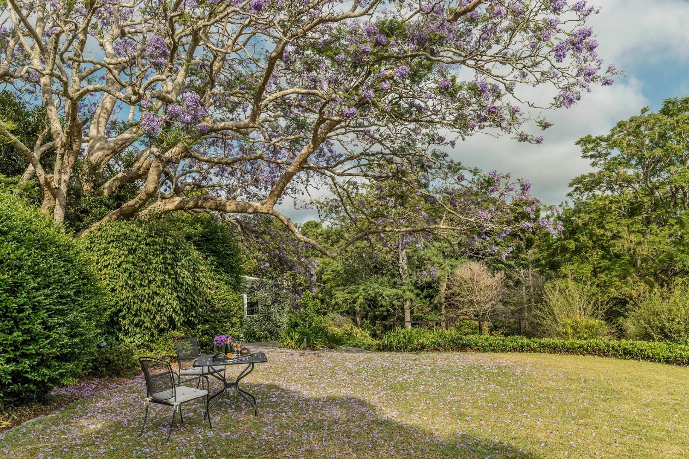 Garden in Spicers Clovelly Estate