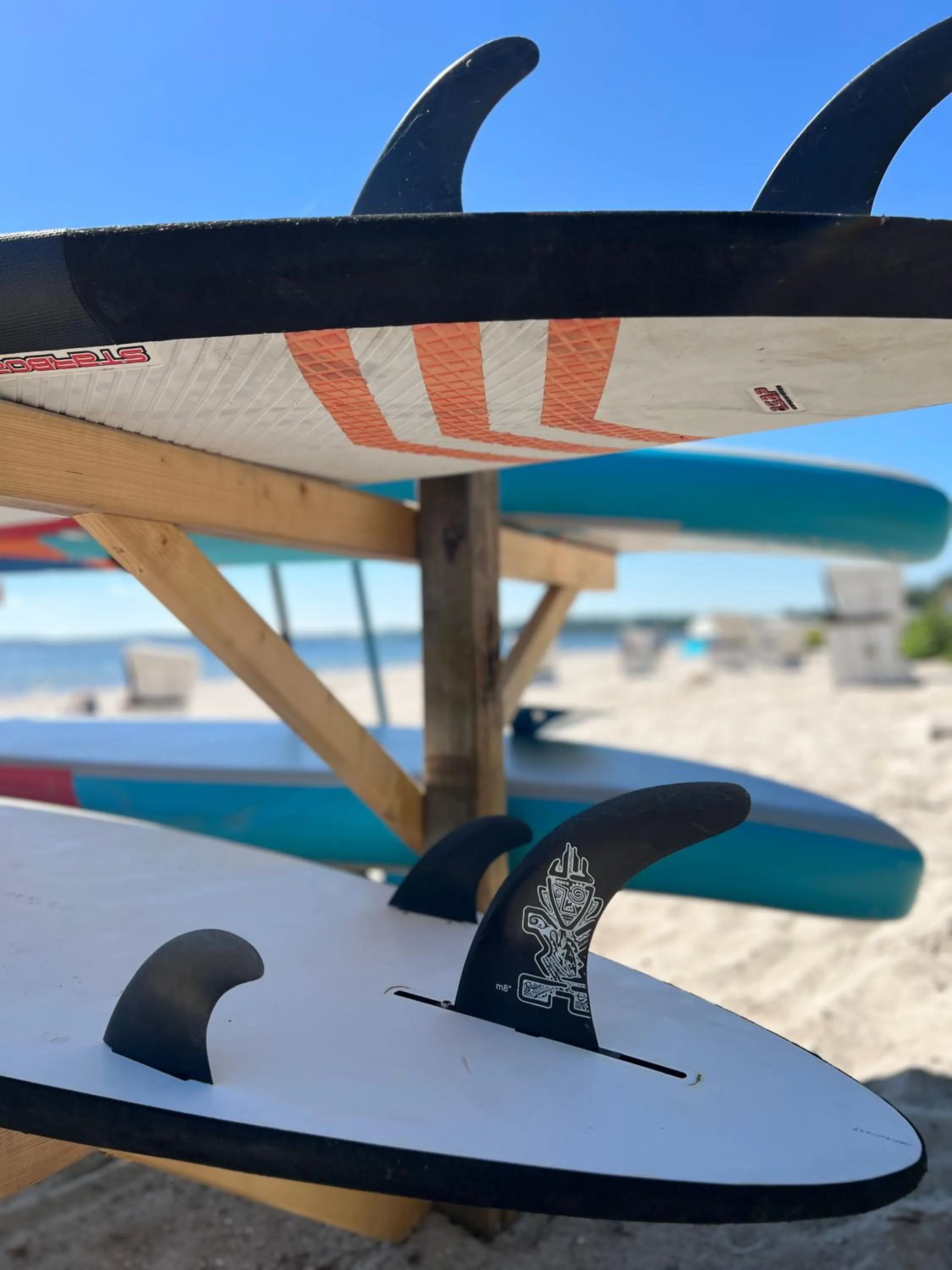 Summer in Ostsee-Strandhaus-Holnis