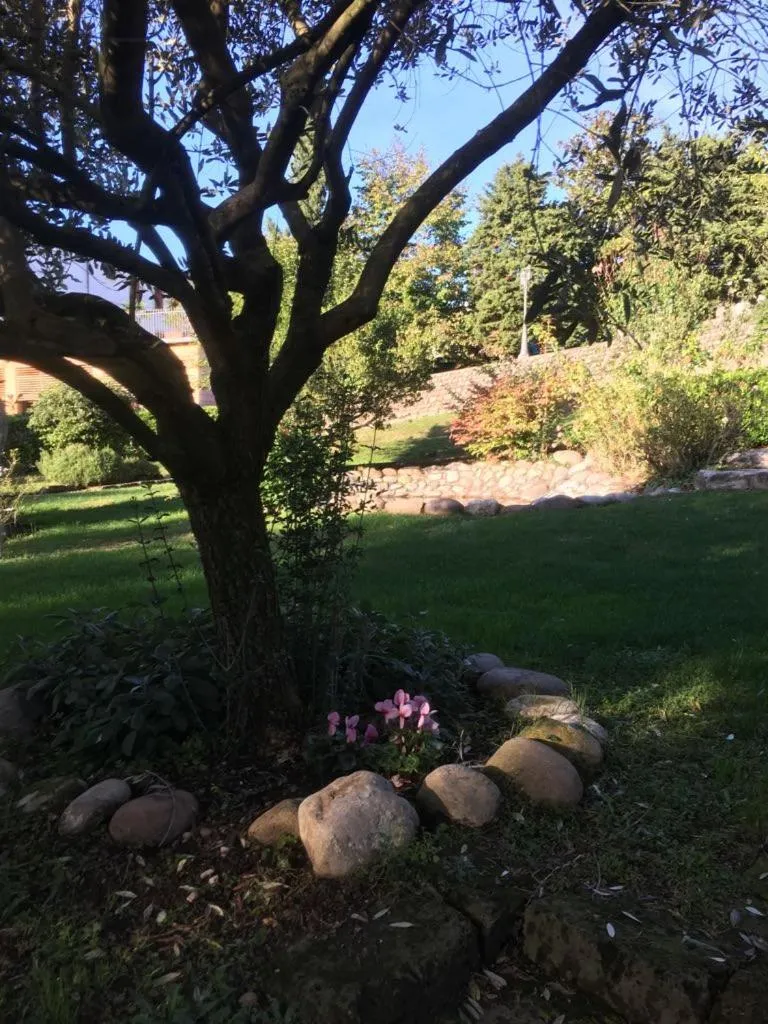 Natural landscape in Resort La Mola