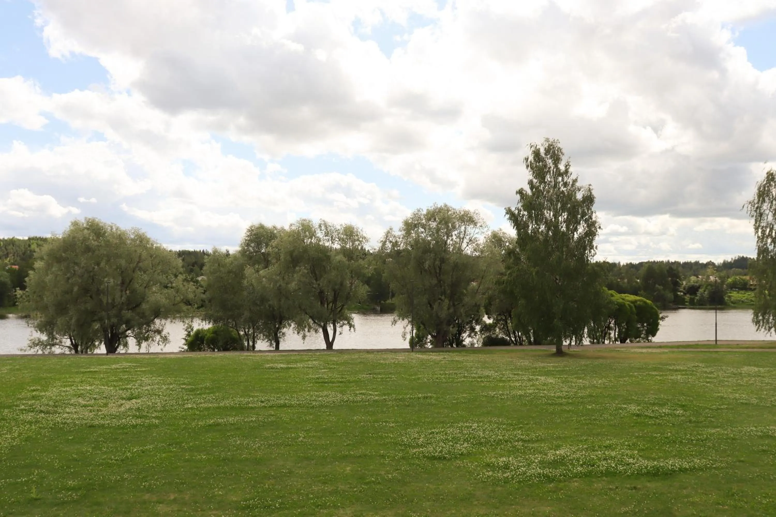 Garden in Hotel Sommelo