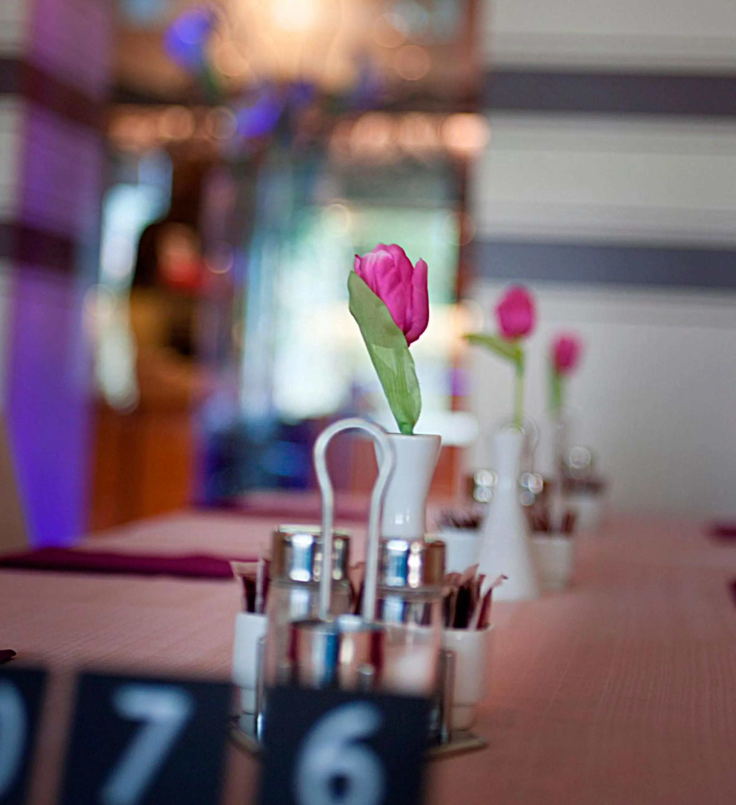 Other in Wellness Hotel Casa Barca (Adult Only)