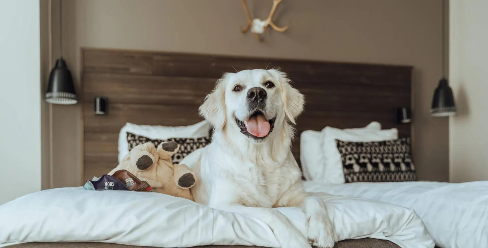 pet friendly in Lapland Hotels Kuopio