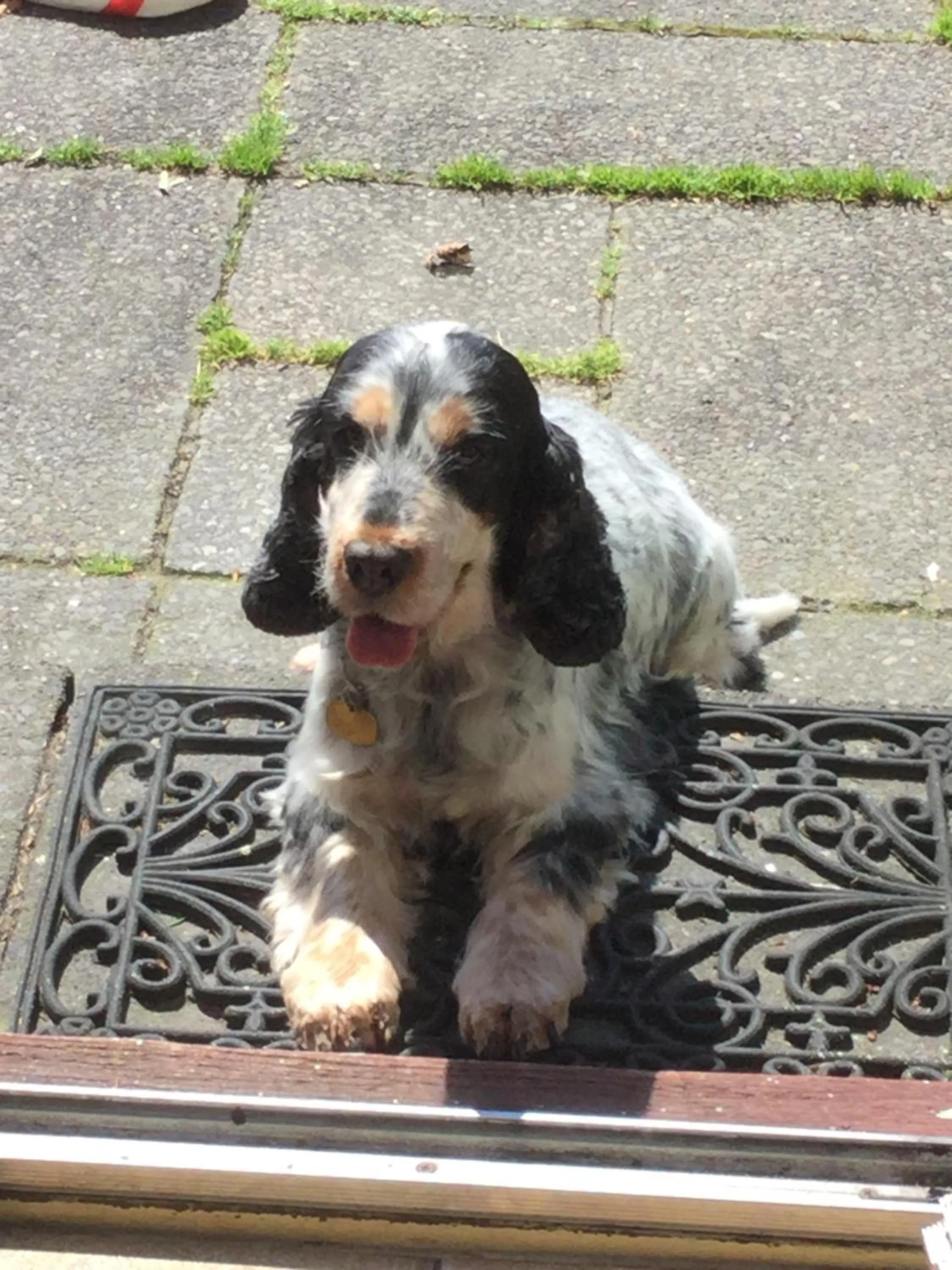 Other in Inverlochy Villas (Adults Only)